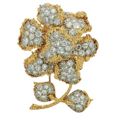 Brooches