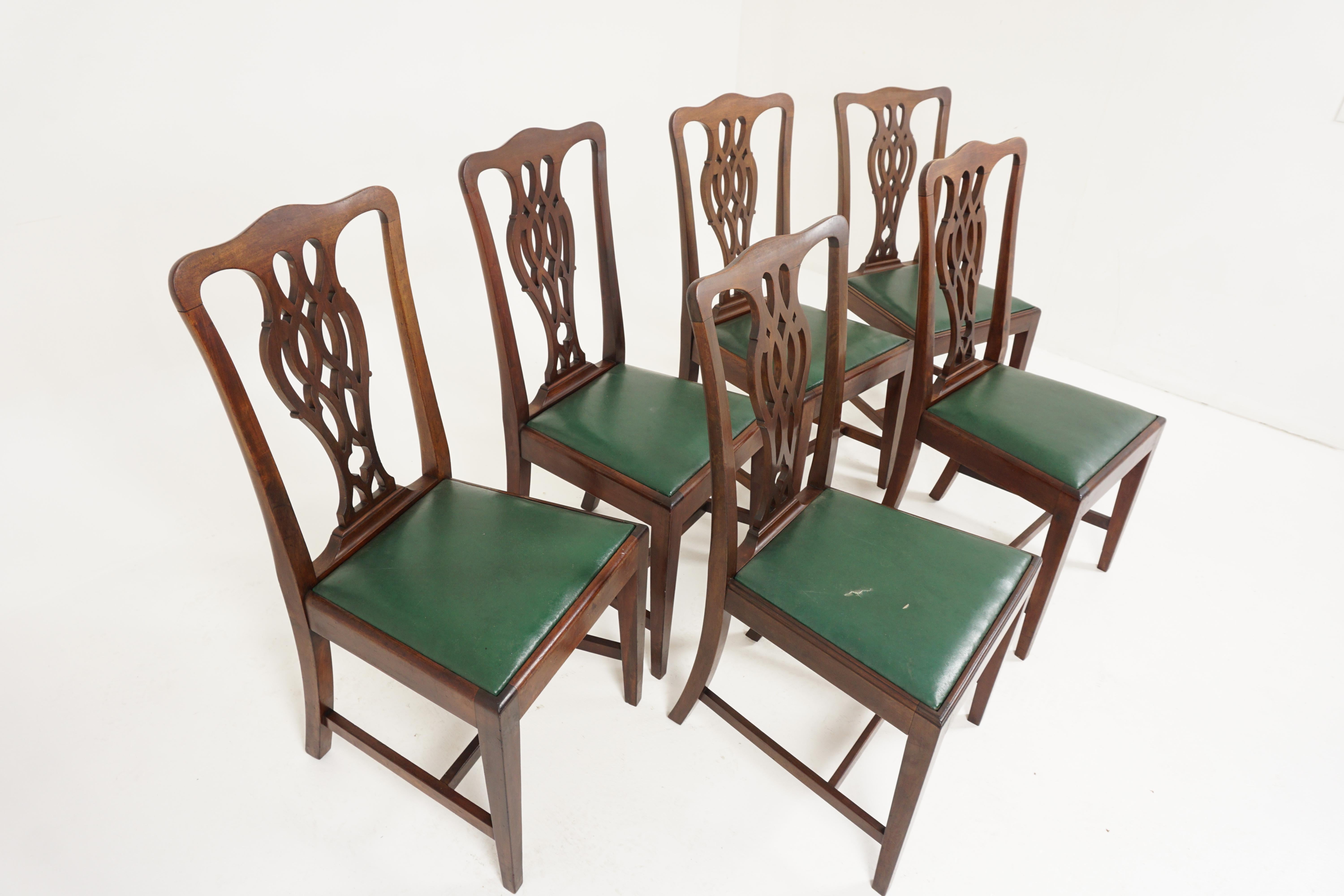 Scottish Vintage Dining Chairs, Set of 6, Walnut, Chippendale Style, Scotland 1920, H142