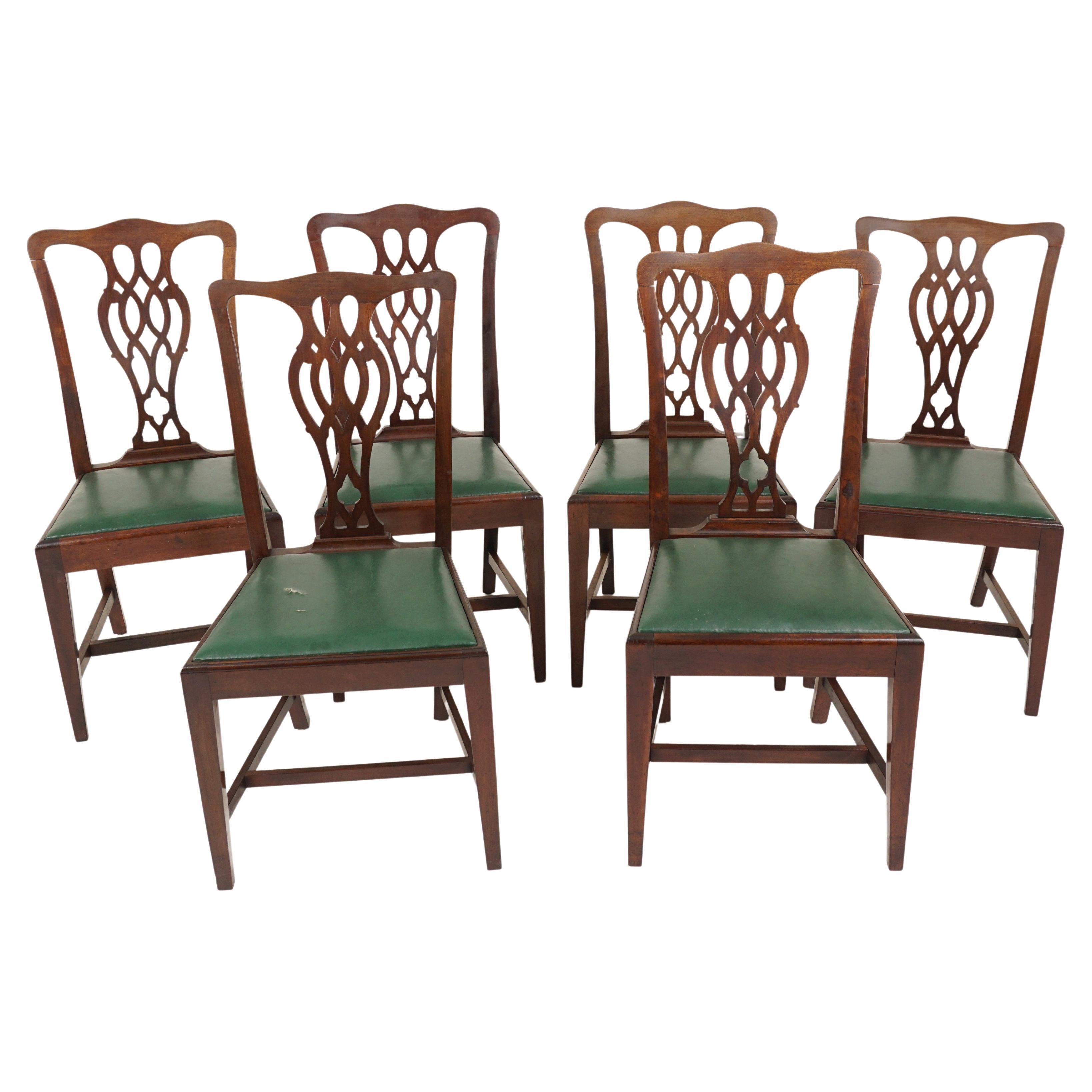 Vintage Dining Chairs, Set of 6, Walnut, Chippendale Style, Scotland 1920, H142