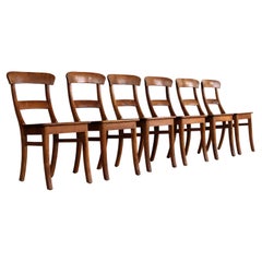 vintage dining room chairs  chairs  set of 6 