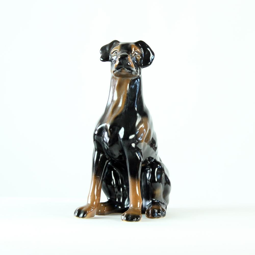 This is a beautiful vintage dog item in perfect condition. The sculpture of a sitting Doberman Pitcher, is pictured with beautiful proportions and elegant details. Produced in 1960s by Jihokera porcelaine producer in Czechoslovakia. The mark of the