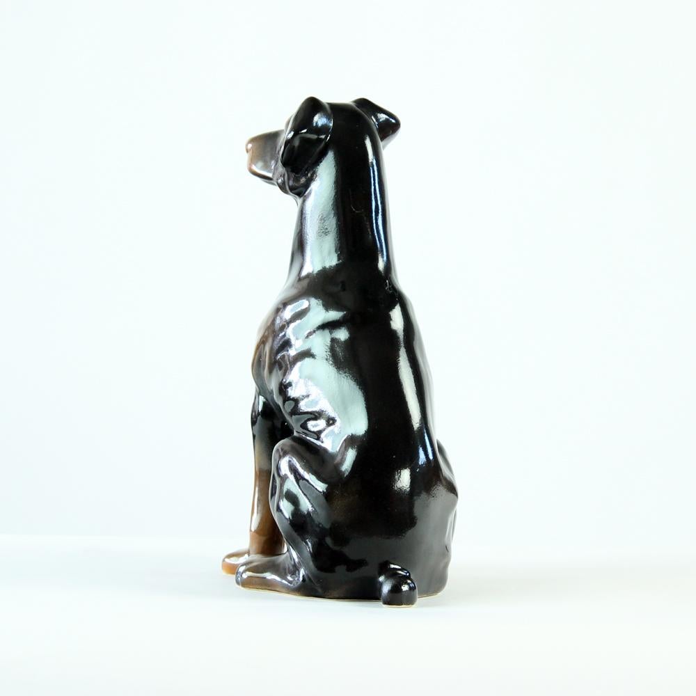Vintage Doberman Pitcher Statue In Porcelain By Jihokera, Czechoslovakia 1960s In Excellent Condition For Sale In Zohor, SK