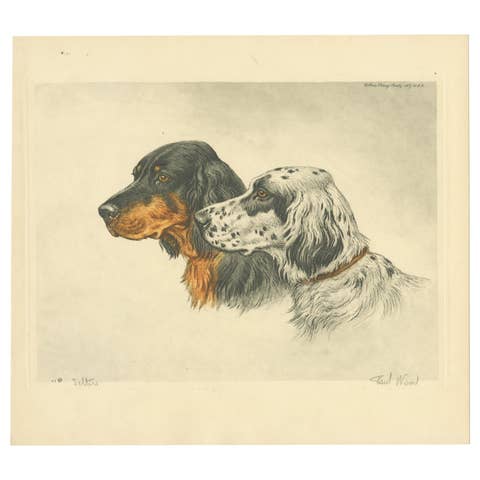 Setters Vintage Dog Portrait Lithograph, Paul Wood, 1930s, Signed