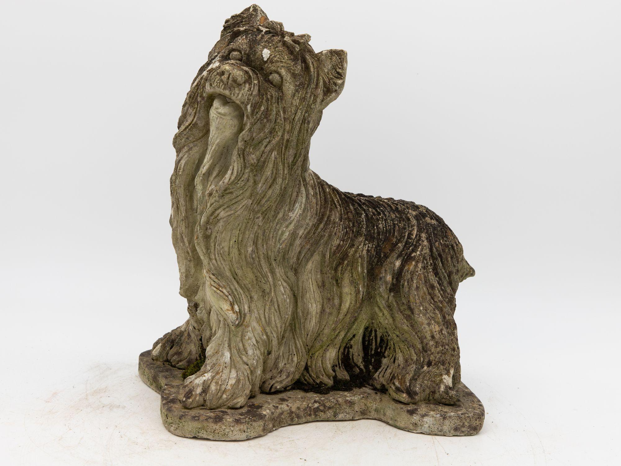 This mid-20th century vintage concrete garden ornament is a delightful representation of a Yorkshire Terrier, exuding an unmistakable charm. Its expressive face, with an open mouth and bright, lively eyes, captures the essence of this beloved breed.