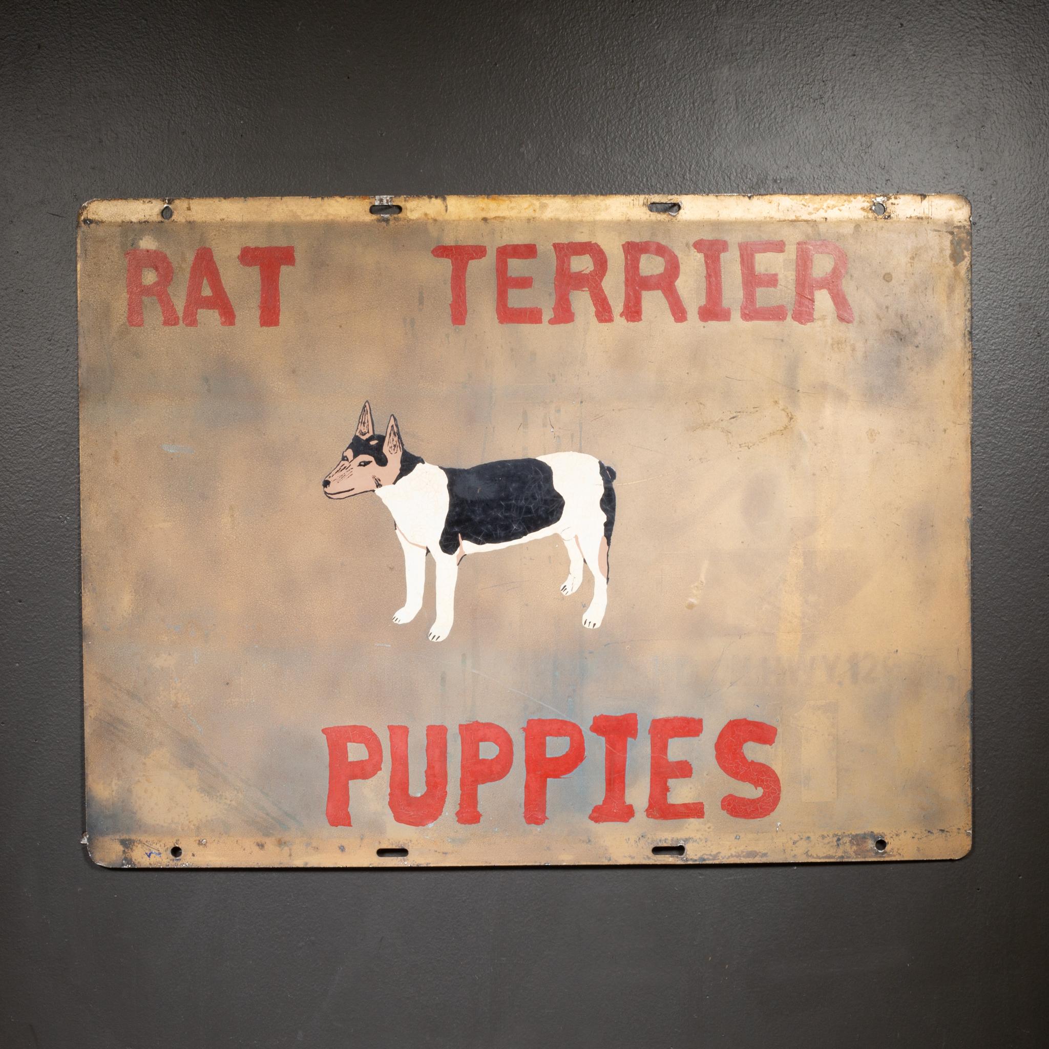 ÜBER

Ein originales, handbemaltes Metallschild, das für den Verkauf von Ratterterrier-Welpen wirbt. Übermalte ein anderes Schild. Die Größe des Hundes variiert, wobei eine Seite viel größer ist. Dieses Stück hat seine ursprüngliche Oberfläche und