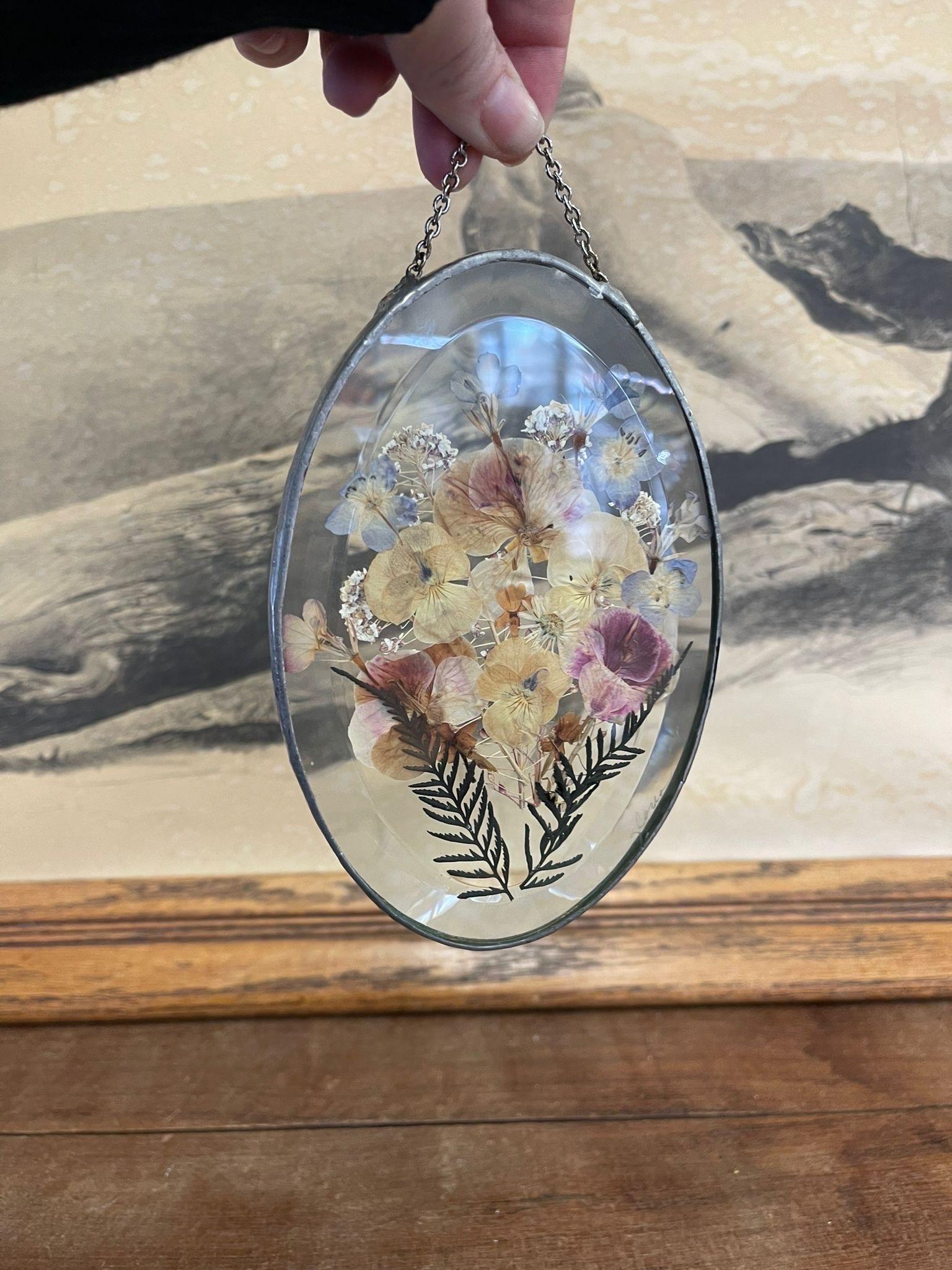 Mid-Century Modern Vintage Dried Pressure Flower Decorative Wall Hanging Within Glass Frame. For Sale