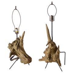 Vintage Driftwood Lamps