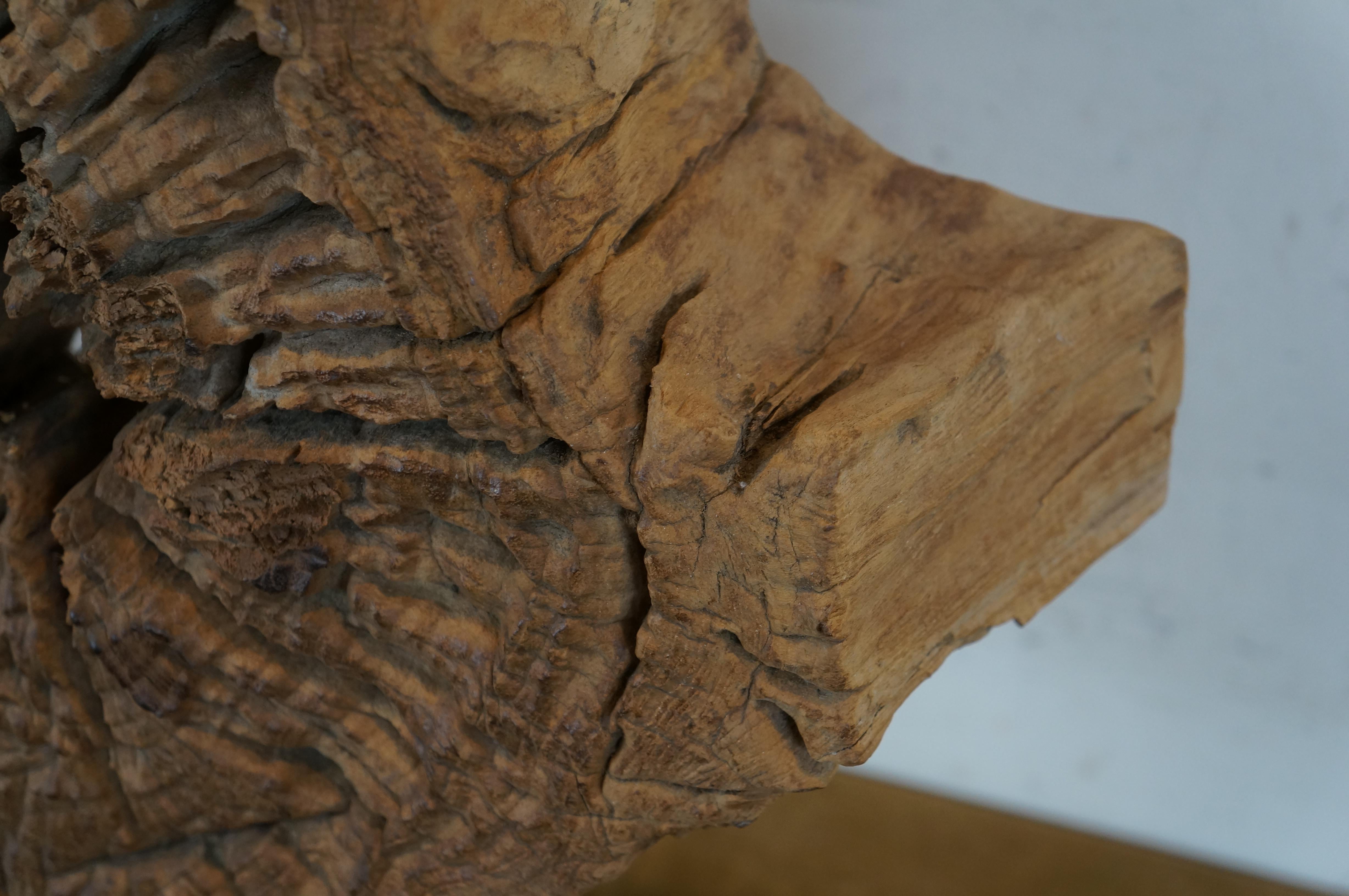 Vintage Driftwood Root Slice Heavy Slab Sculpture on Stand 28