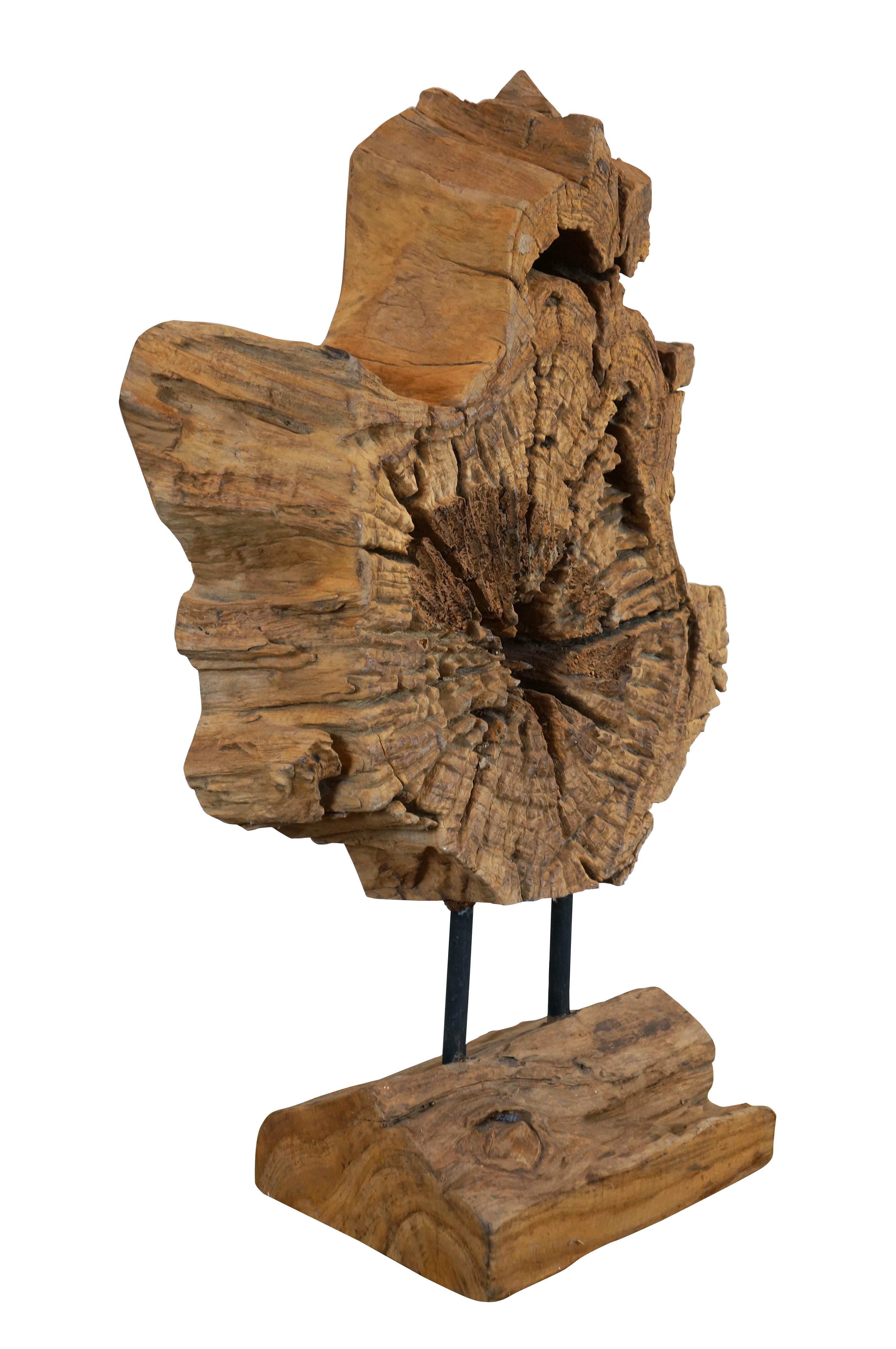 Rustico Vintage Driftwood Root Slice Heavy Slab Sculpture on Stand 28