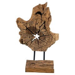 Vintage Driftwood Root Slice Heavy Slab Sculpture on Stand 28"