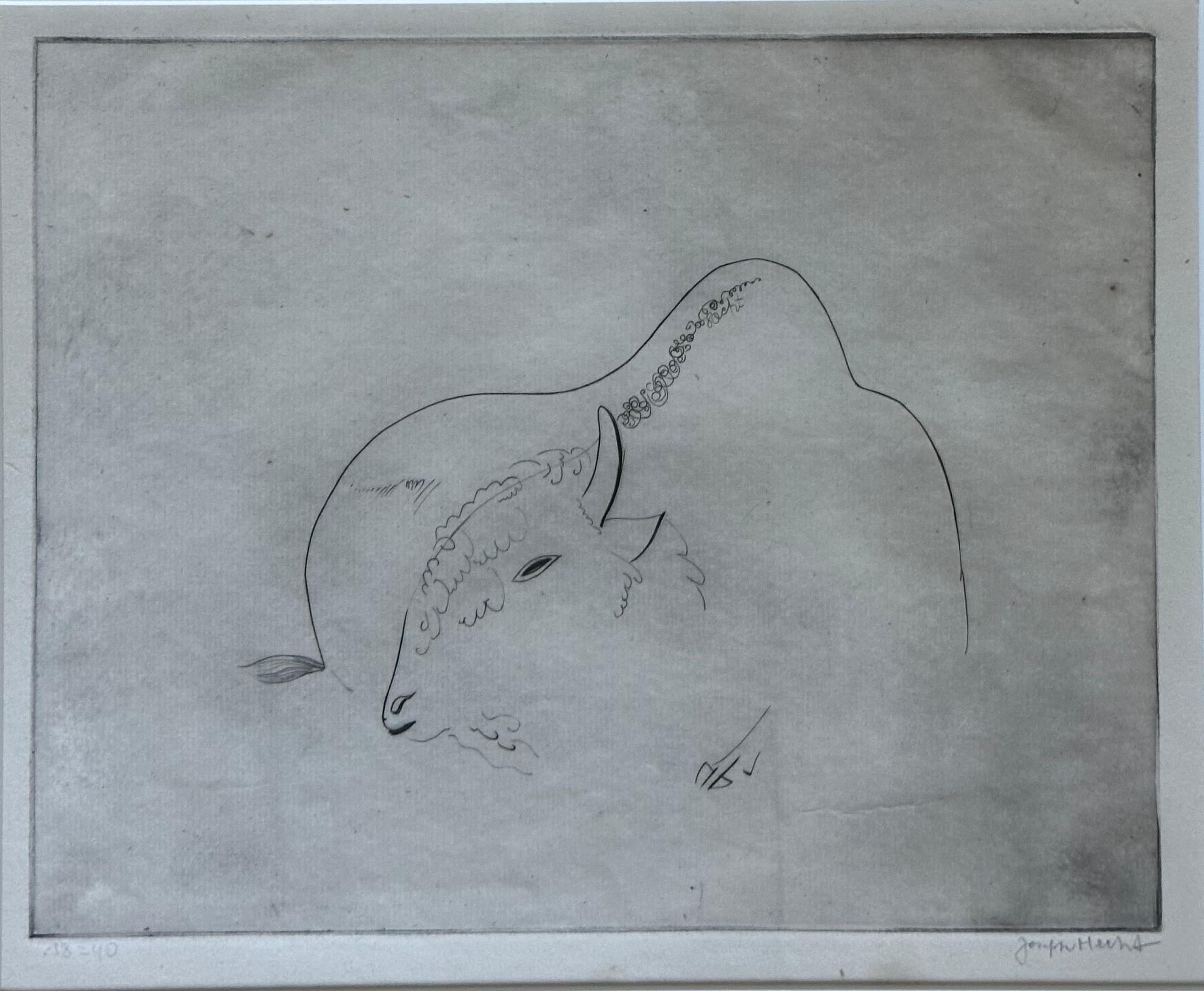 Vintage dry point etching 
