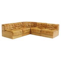 Modulares Vintage DS-11 Vintage-Sofa von De Sede, 1960er Jahre, 5er-Set, Vintage