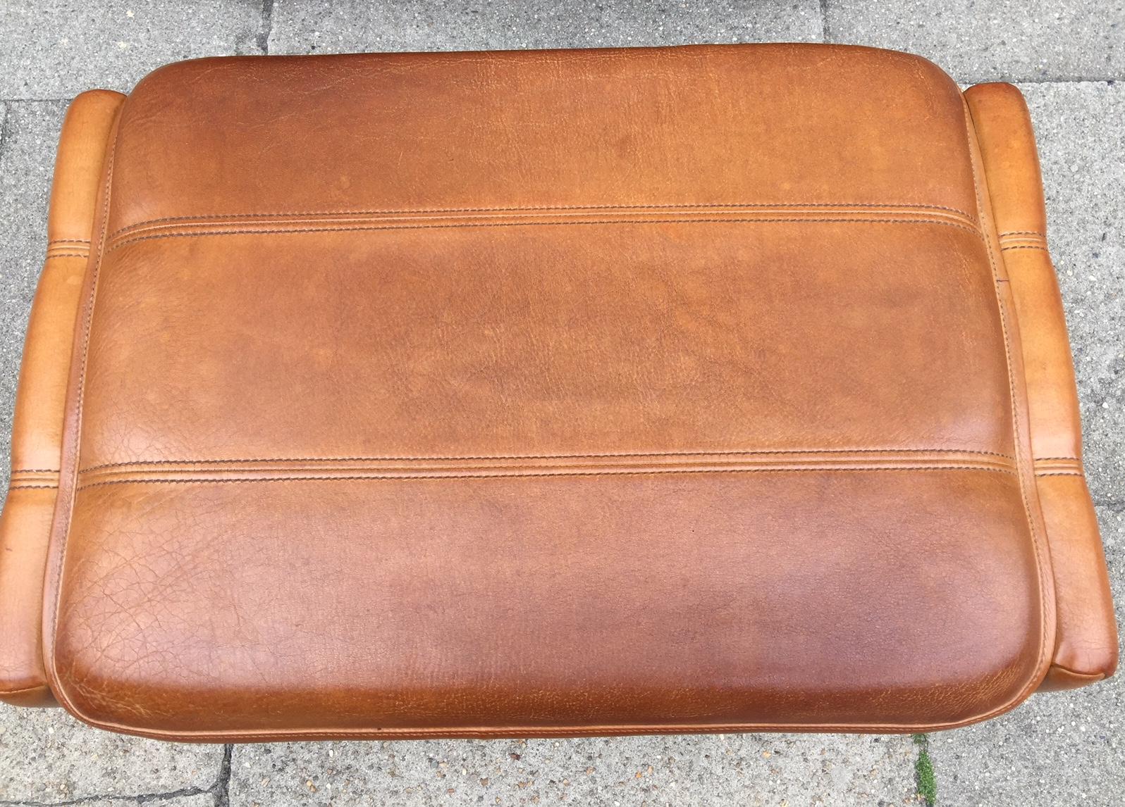 Vintage DS 50 Buffalo Leather Loungechair & Ottoman by de Sede Switzerland 1970s 3