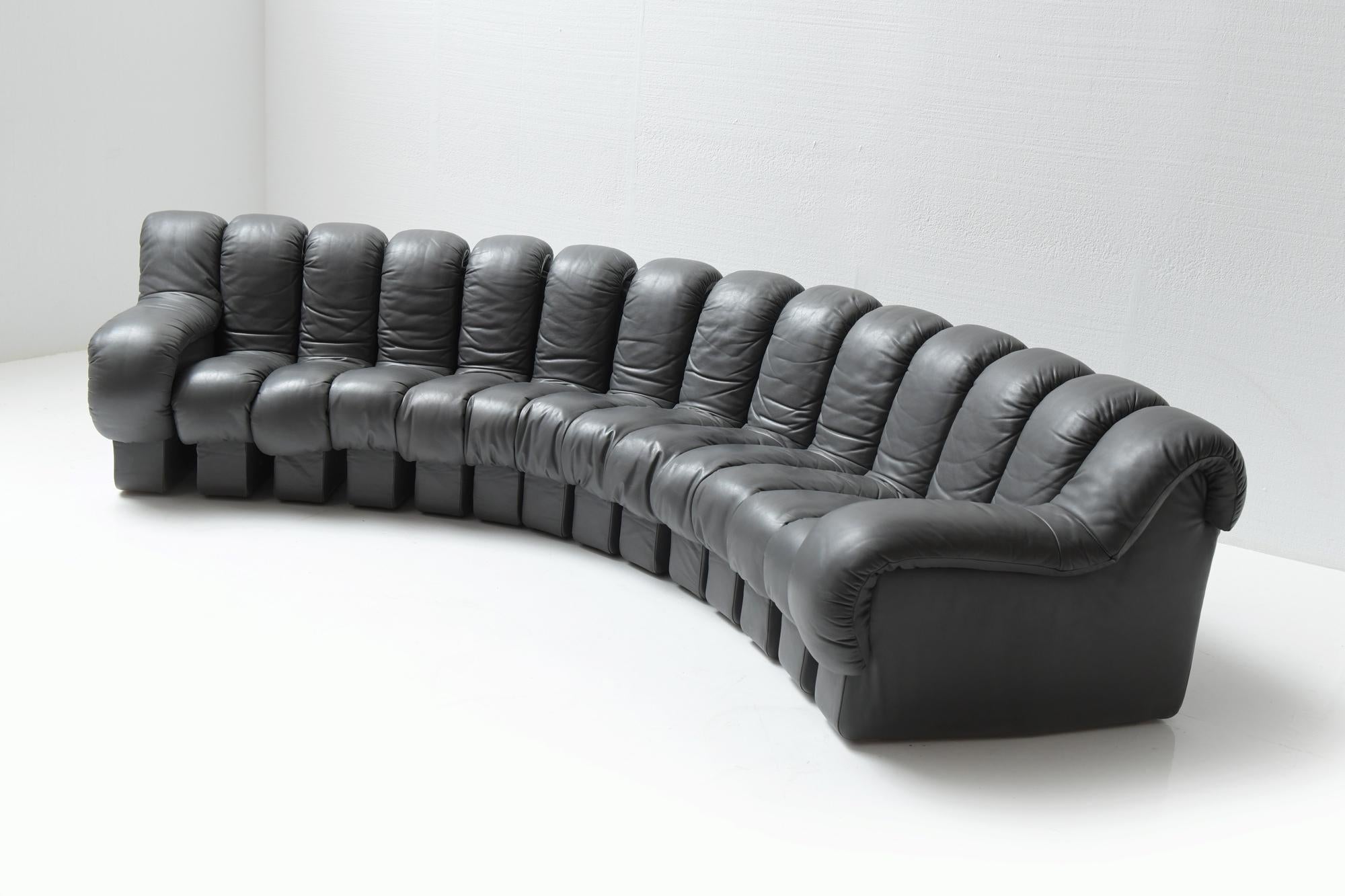 Mid-Century Modern Vintage Ds 600 - 14pc- Ueli Berger, Eleanora Peduzzi-Riva -Hans Ulrich - De Sede