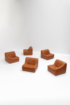 Vintage DS46 Modular Leather Sofa from De Sede, 1970s, Set of 5