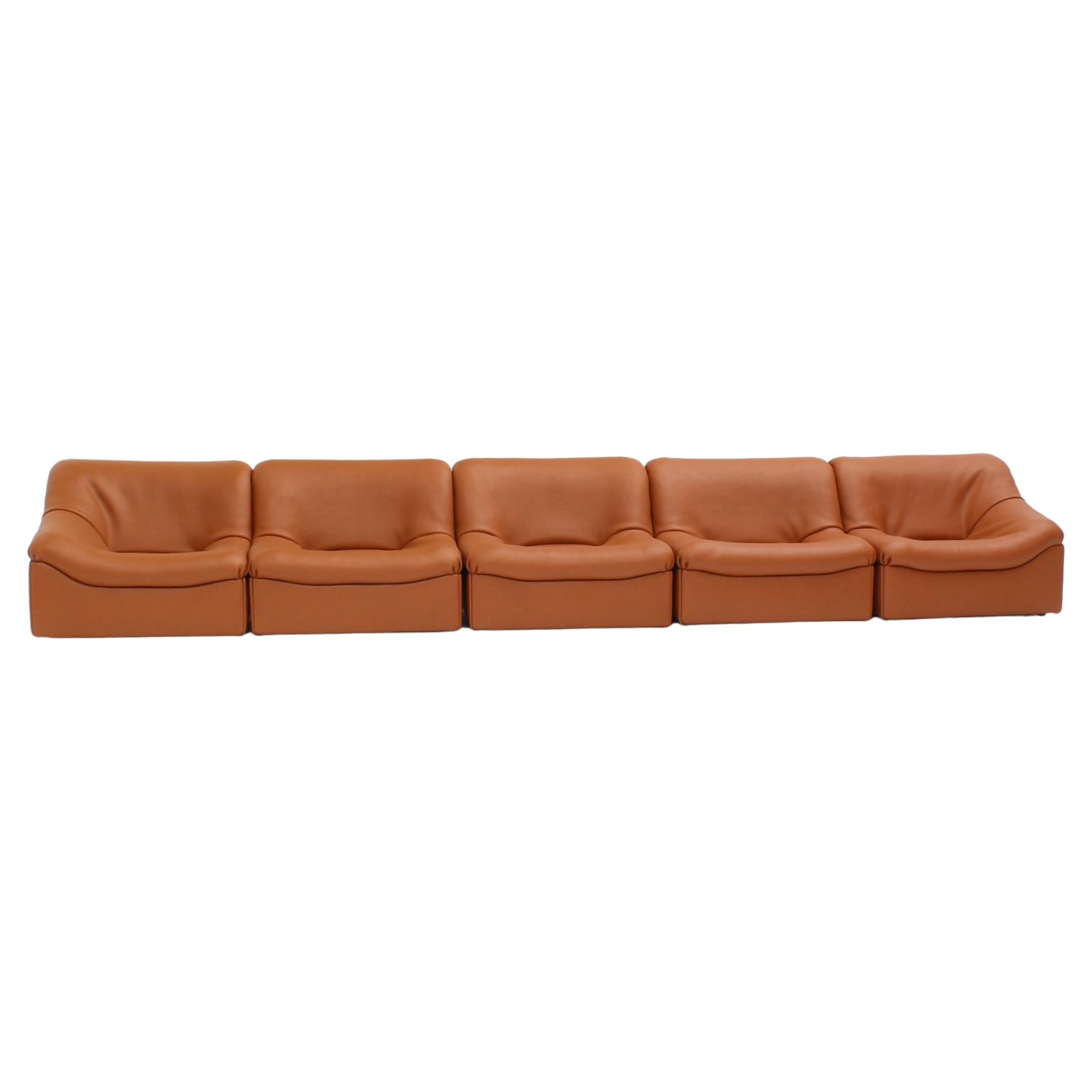 Vintage DS46 Modular Leather Sofa from De Sede, 1970s, Set of 5