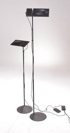 Vintage Duna Terra Floor Lamps by Marco Colombo & Mario Barbaglia, PAF Studio