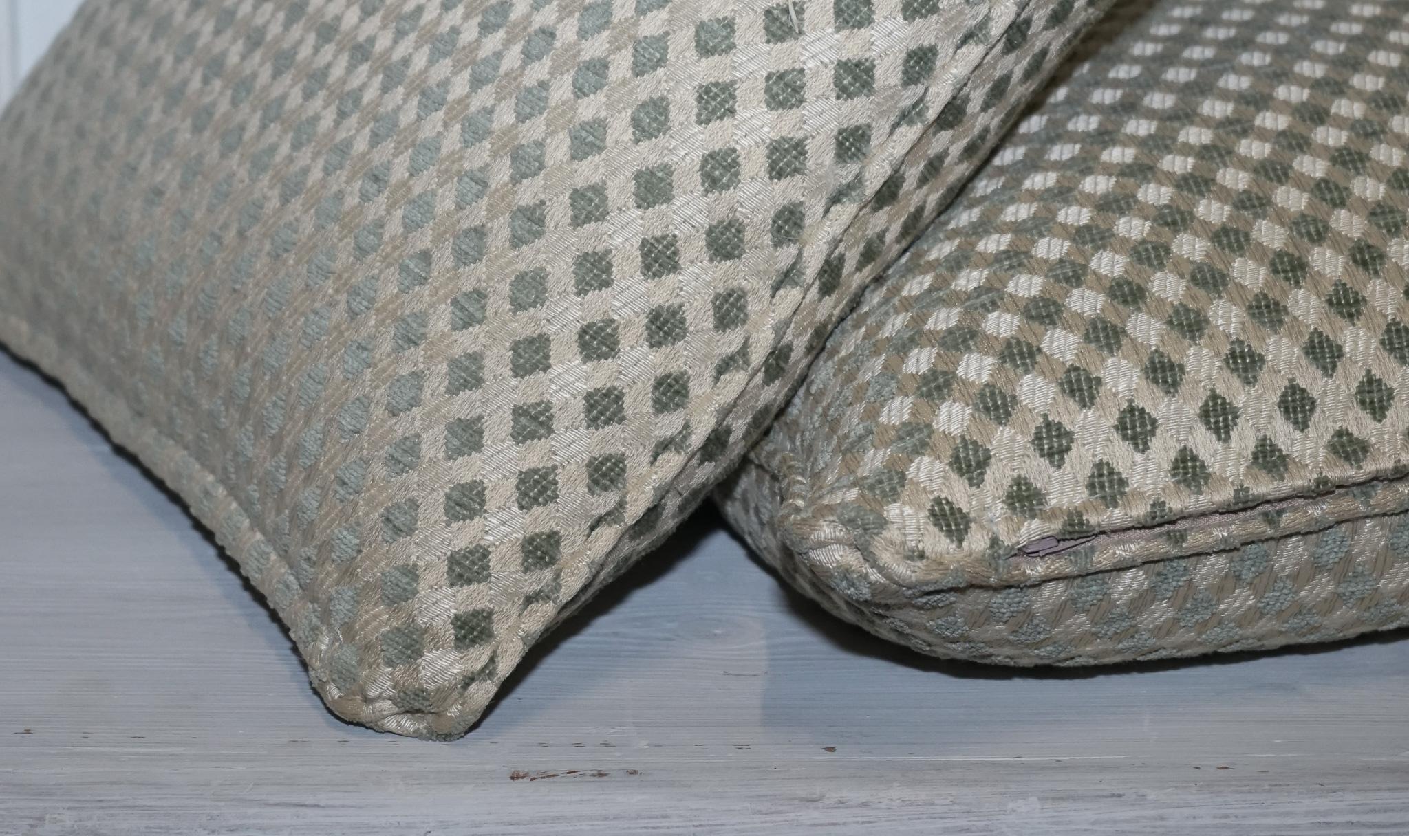 DURESTA DUCK SCATTER CUSHiON CREMA E SALVIA d'epoca in vendita 1