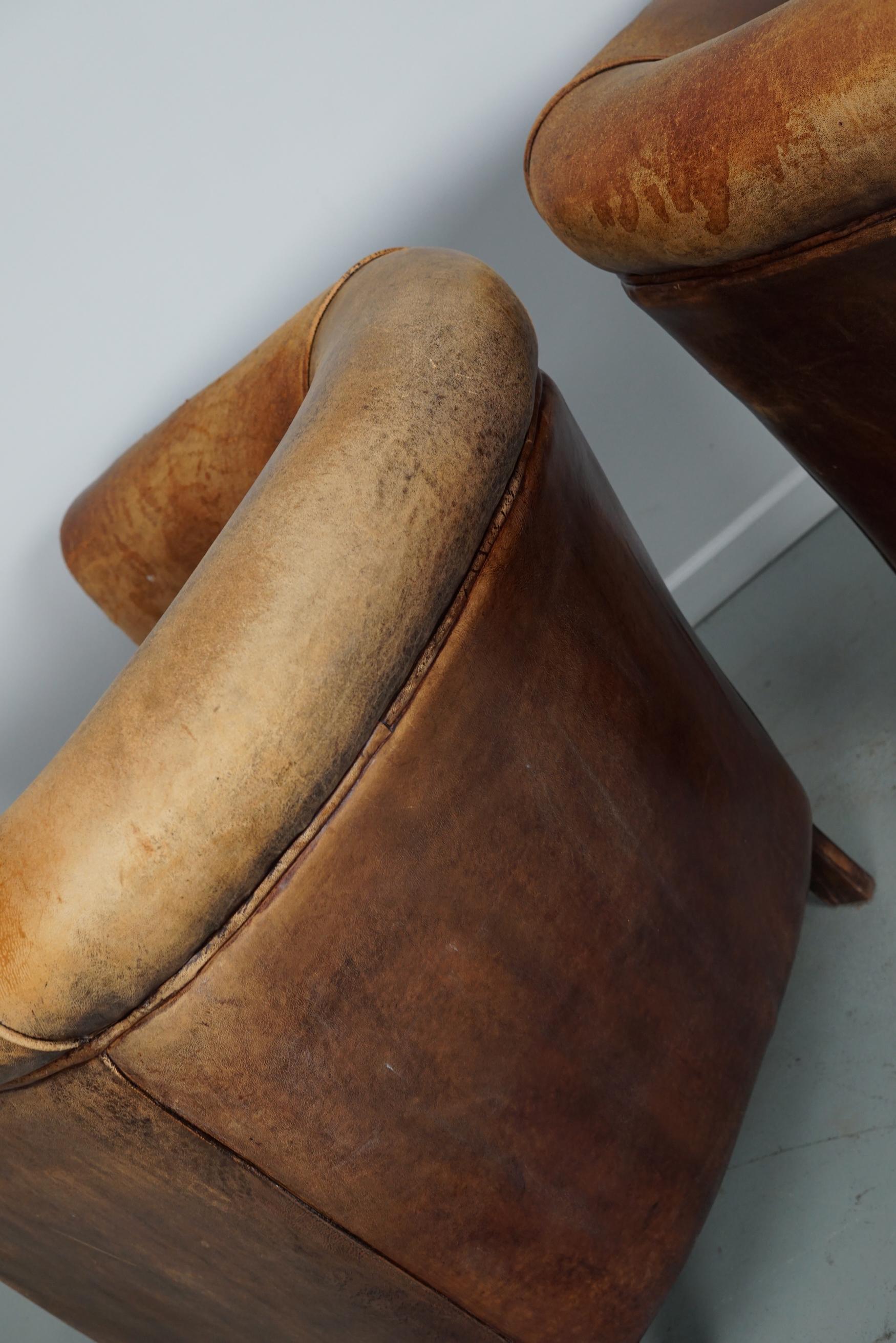 Vintage Dutch Cognac Colored Leather Club Chair, Set of 2 9