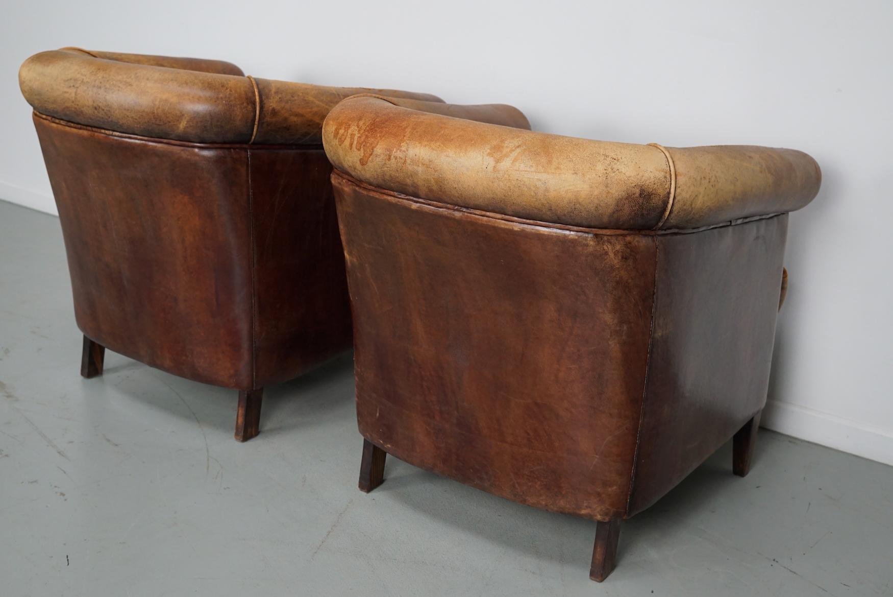 Vintage Dutch Cognac Colored Leather Club Chair, Set of 2 11