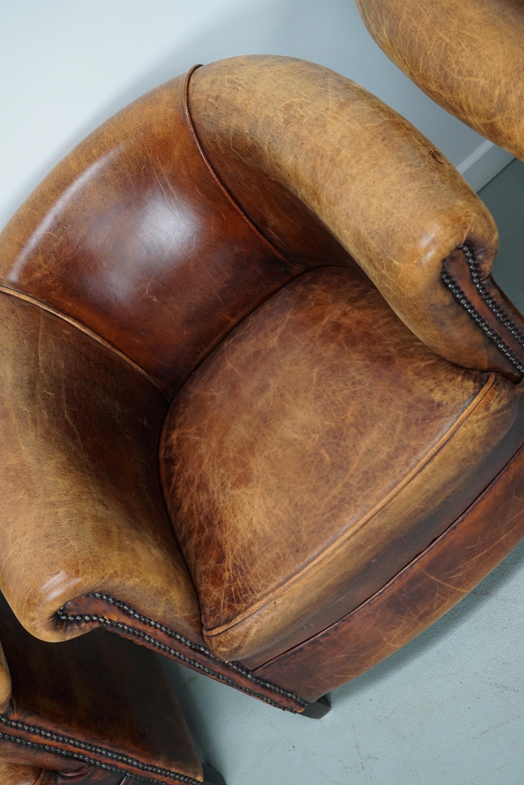 Vintage Dutch Cognac Leather Club Chairs, Set of Three For Sale 6