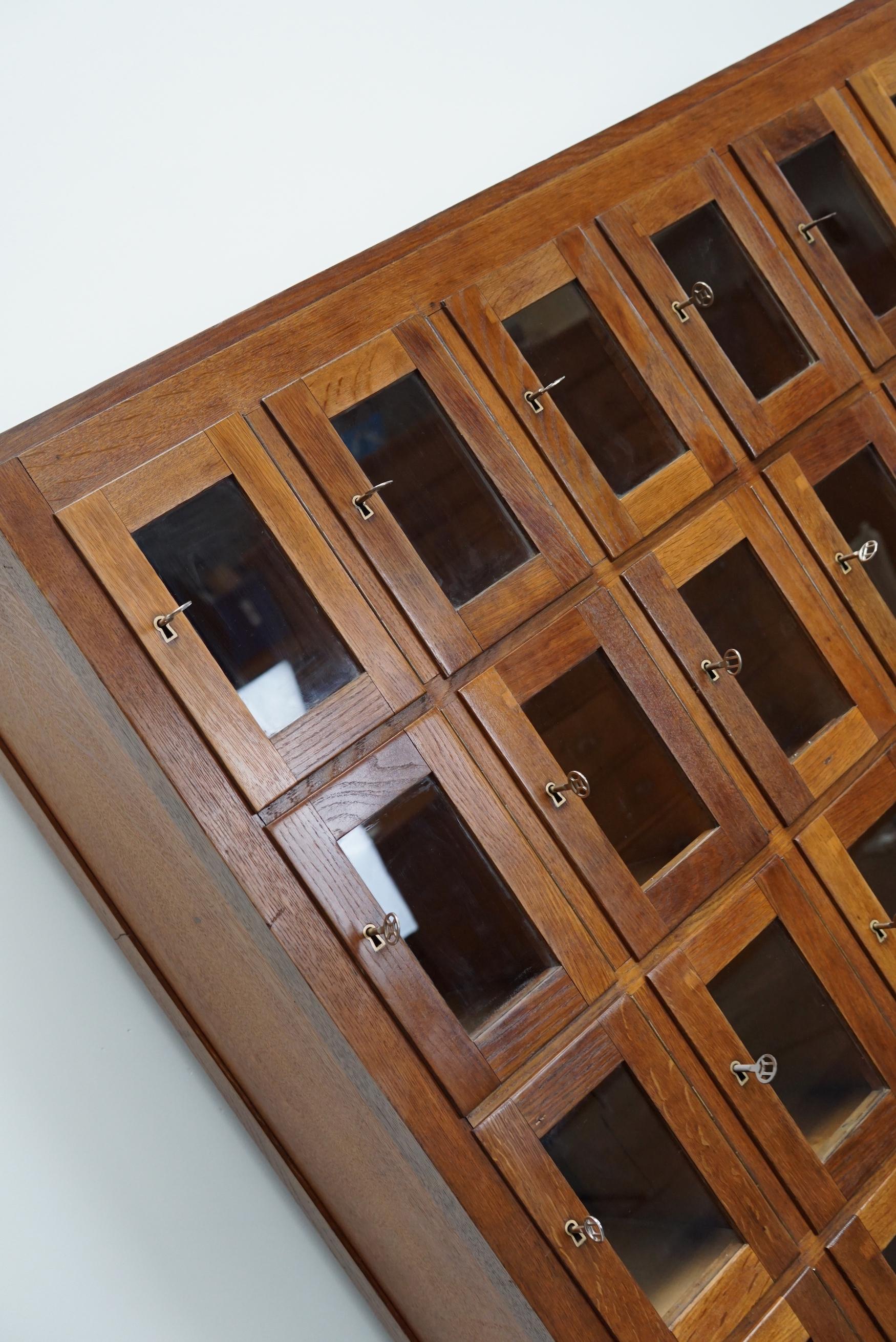 Vintage Dutch Oak Glass Door Locker Cabinet, 1930s 10