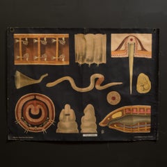 Vintage Dutch Science Class Chart of Earthworm Anatomy C.1930