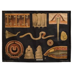 Vintage Dutch Science Class Chart of Earthworm Anatomy C.1930