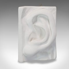 Vintage Ear Sculpture, English, Plaster, Haut Relief, Anatomical Portrait