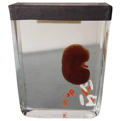 Vintage East European on Strong Water a Cat Kidney, Mid-20th Century