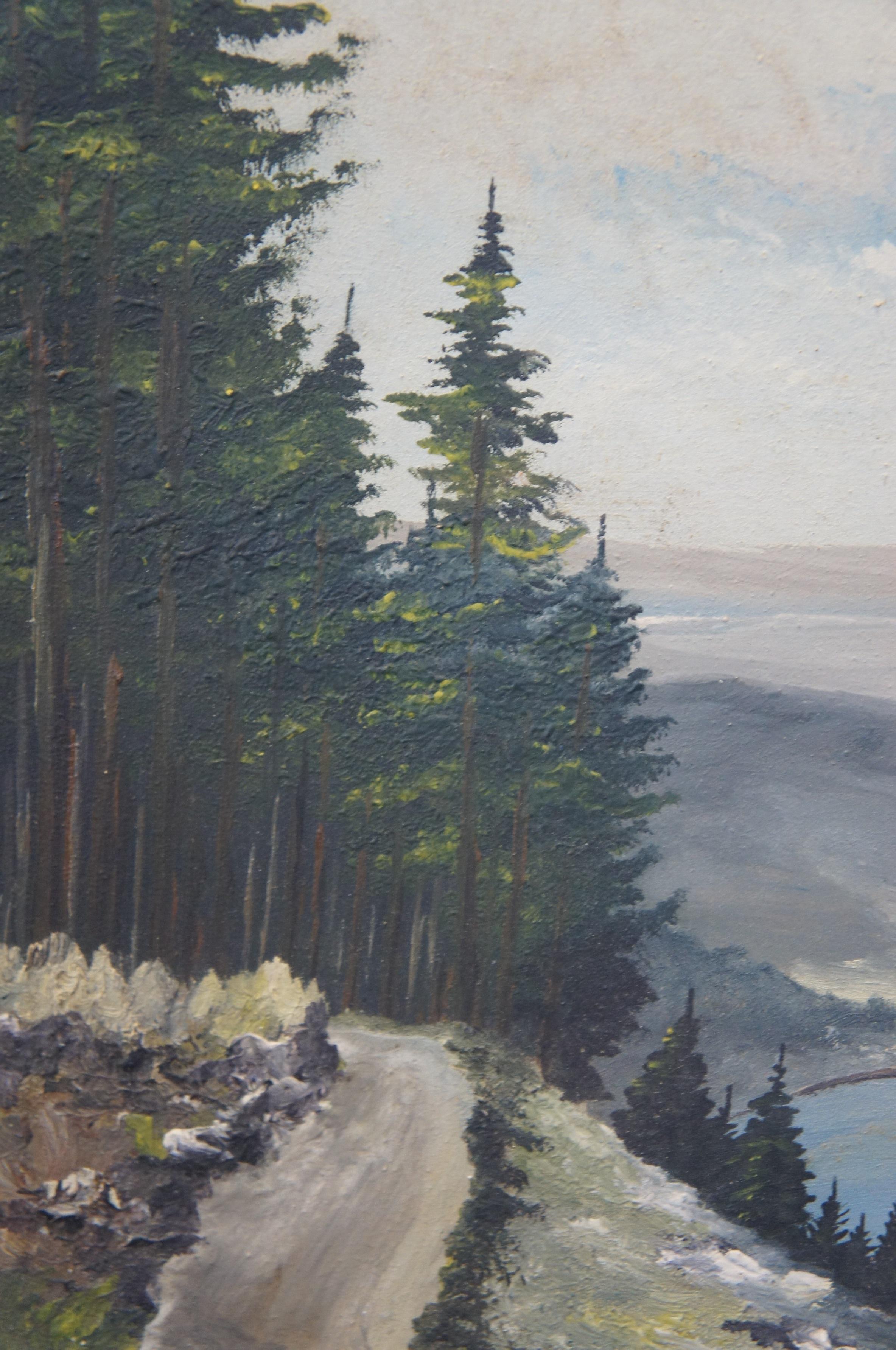 Vintage Eduard Enzmann Alpine Lake Landscape Oil Painting on Board 19