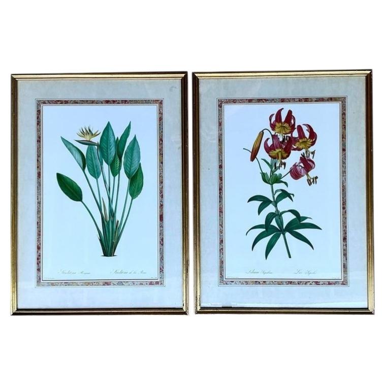 Vintage Ehret Botanical Prints - Set of 2