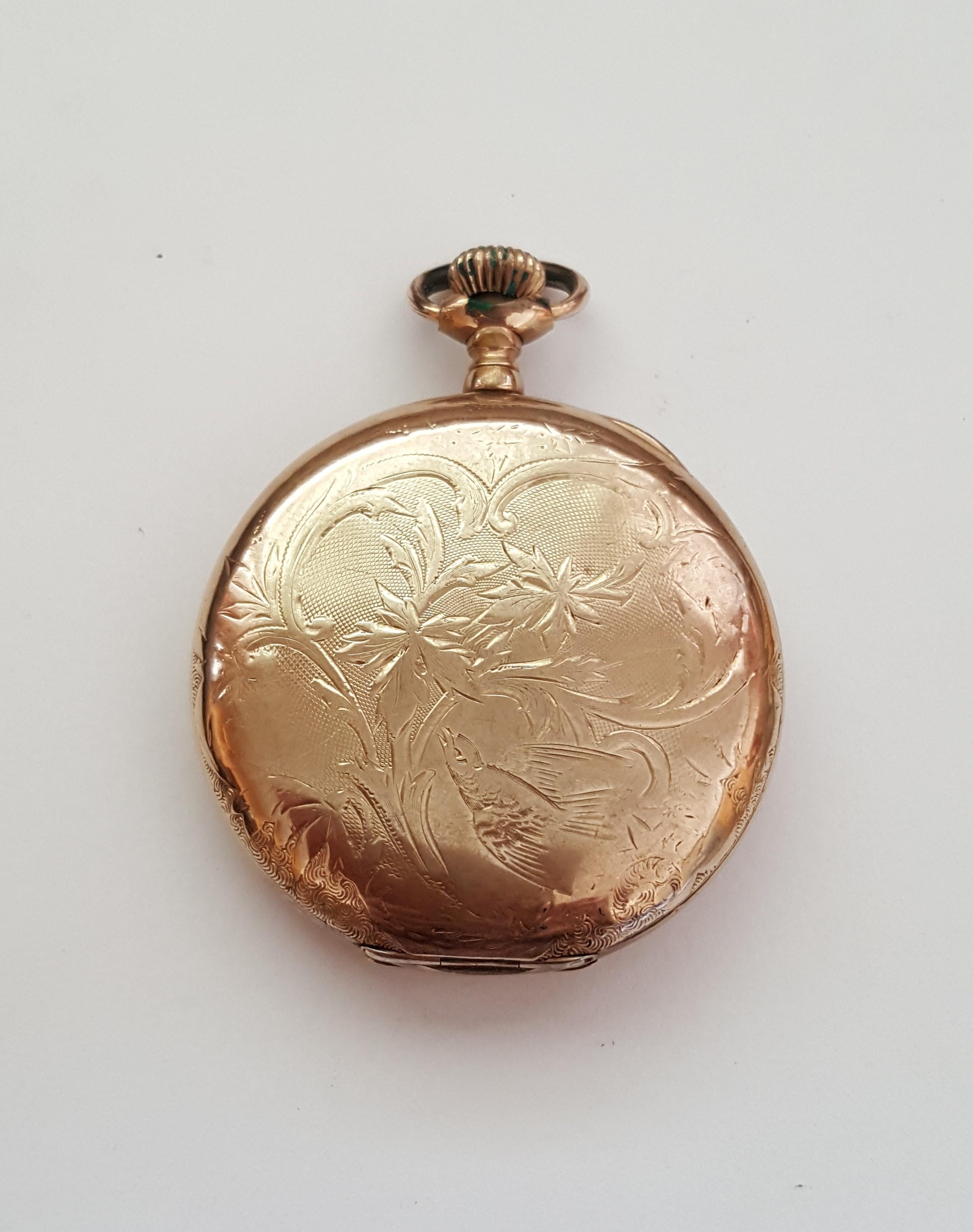 1907 elgin pocket watch