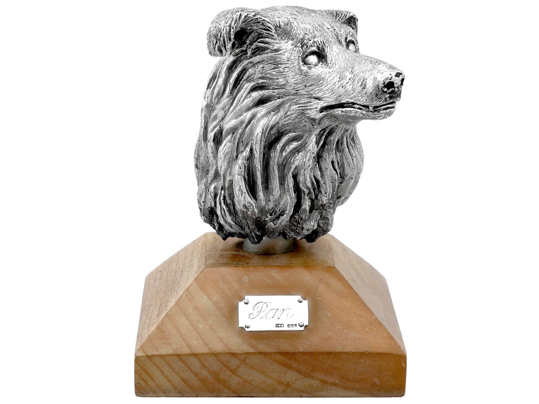 An exceptional, fine and impressive vintage Elizabeth II Scottish cast sterling silver and wood desk paperweight in the form of a dog's head; an addition to our animal related silverware collection

This exceptional vintage Elizabeth II cast