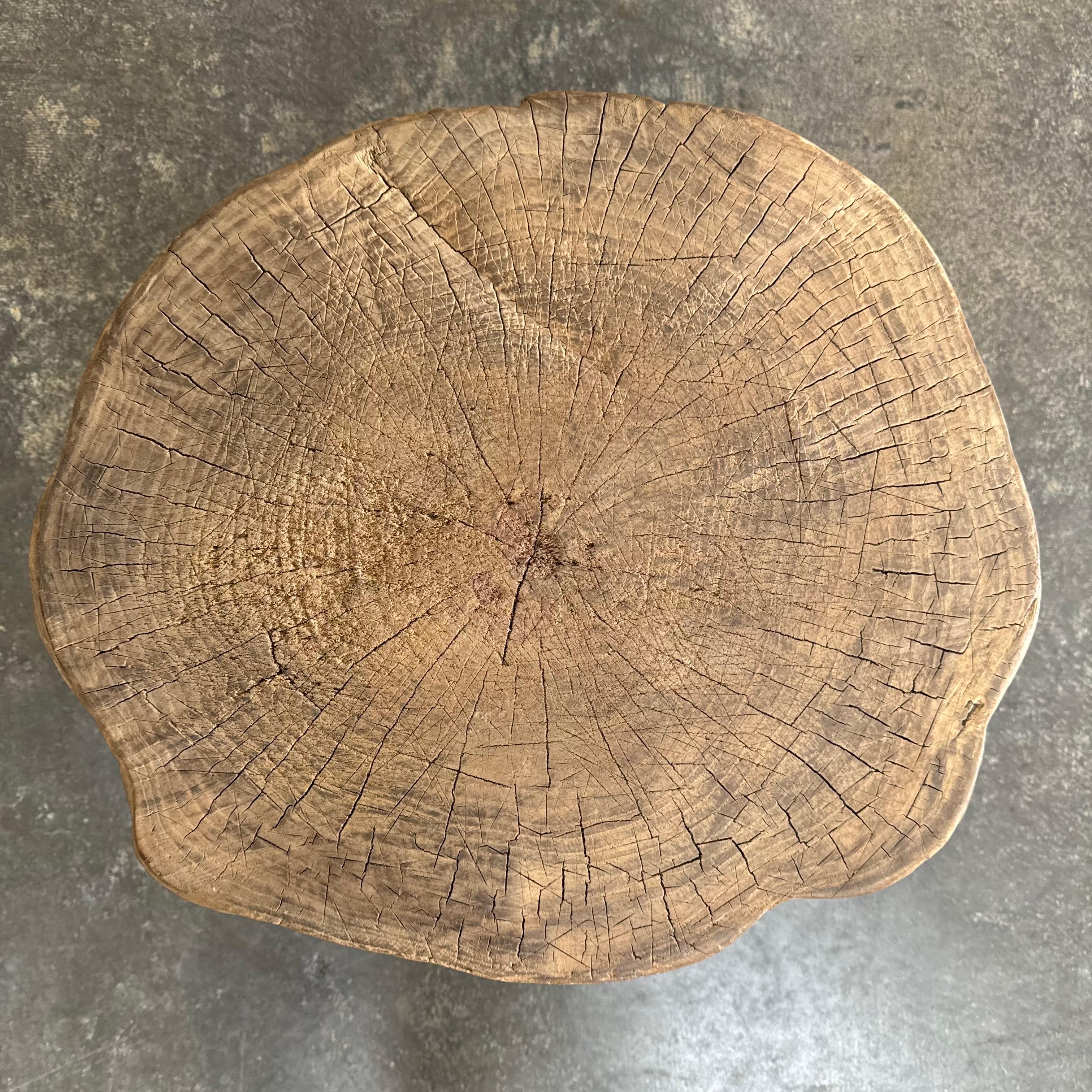 Vintage Ulmenholz Chop Block-Tisch im Zustand „Gut“ im Angebot in Brea, CA