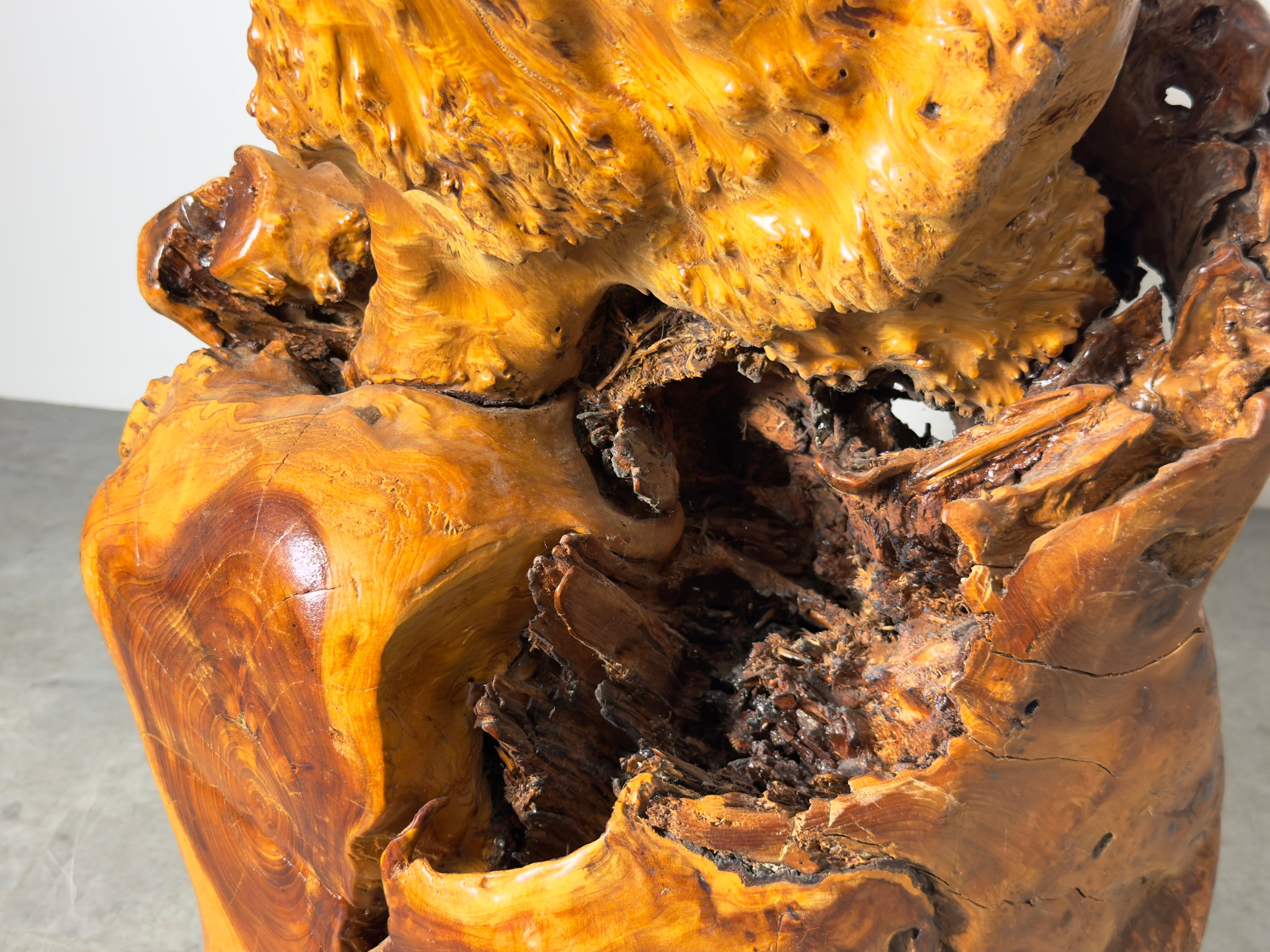 Vintage Elm Wood Burl Root Pedestal Table Stand or Stool Organic Modern 1970's For Sale 4