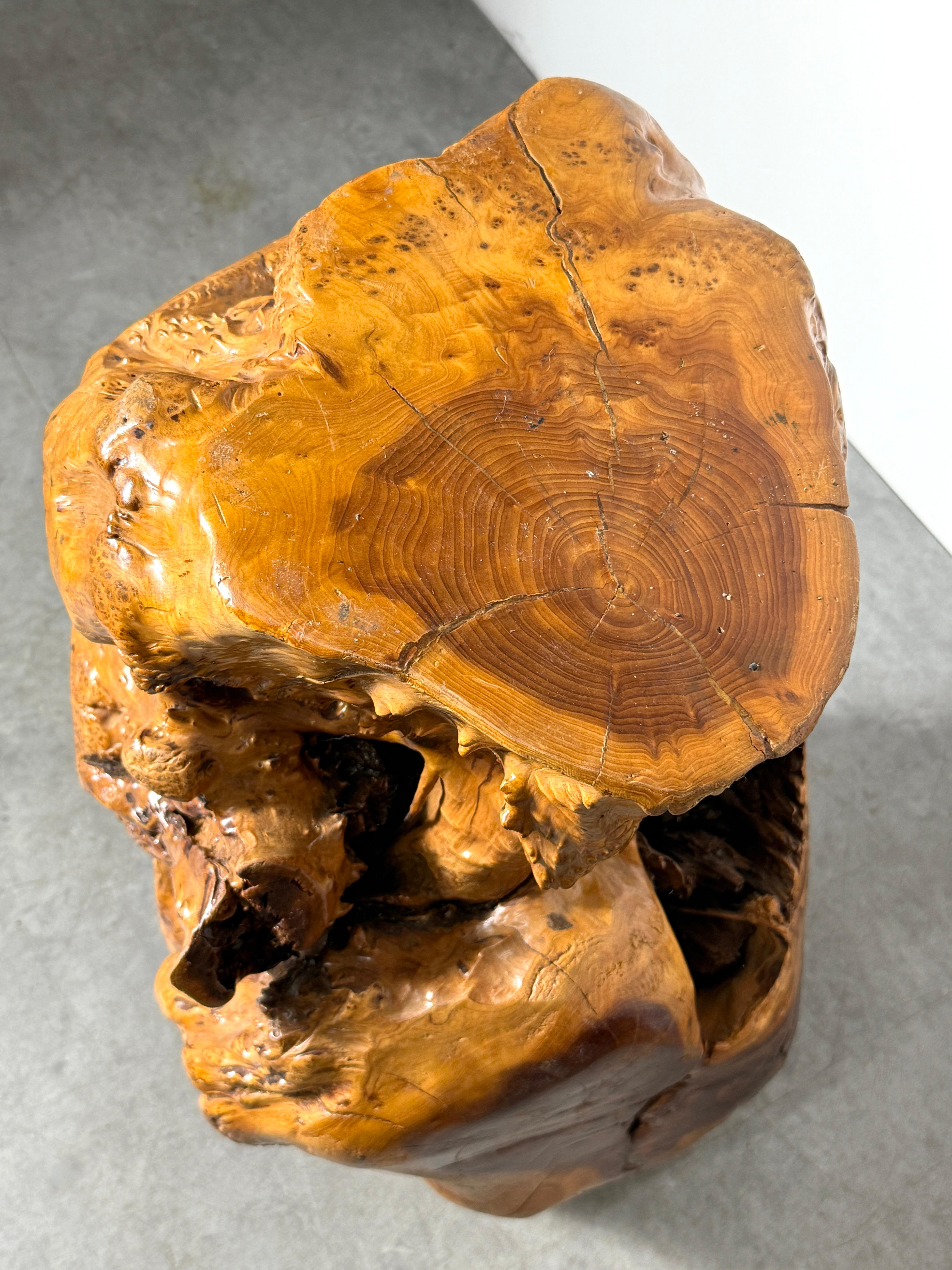 Vintage Elm Wood Burl Root Pedestal Table Stand or Stool Organic Modern 1970's For Sale 5
