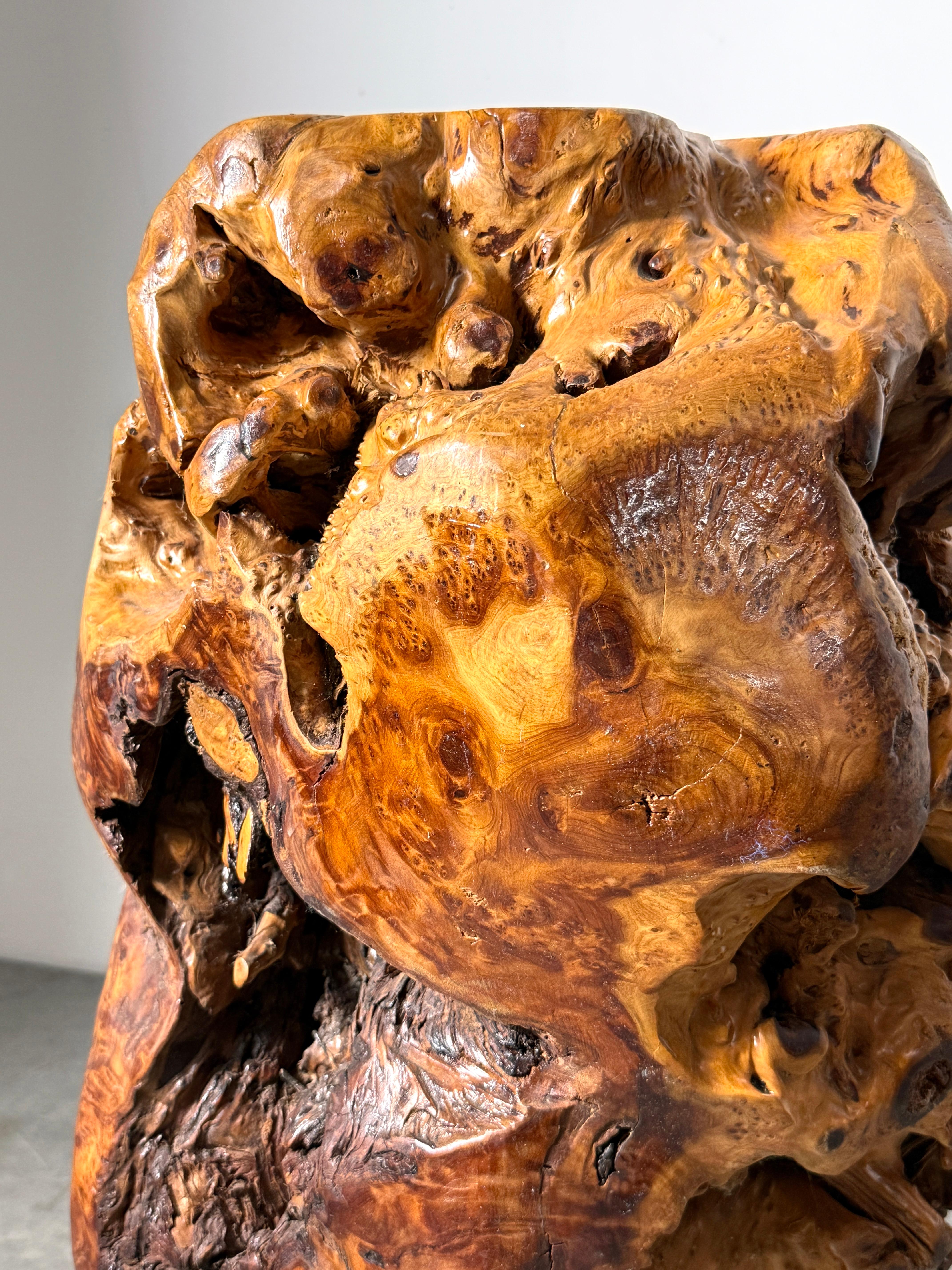 Vintage Elm Wood Burl Root Pedestal Table Stand or Stool Organic Modern 1970's For Sale 6