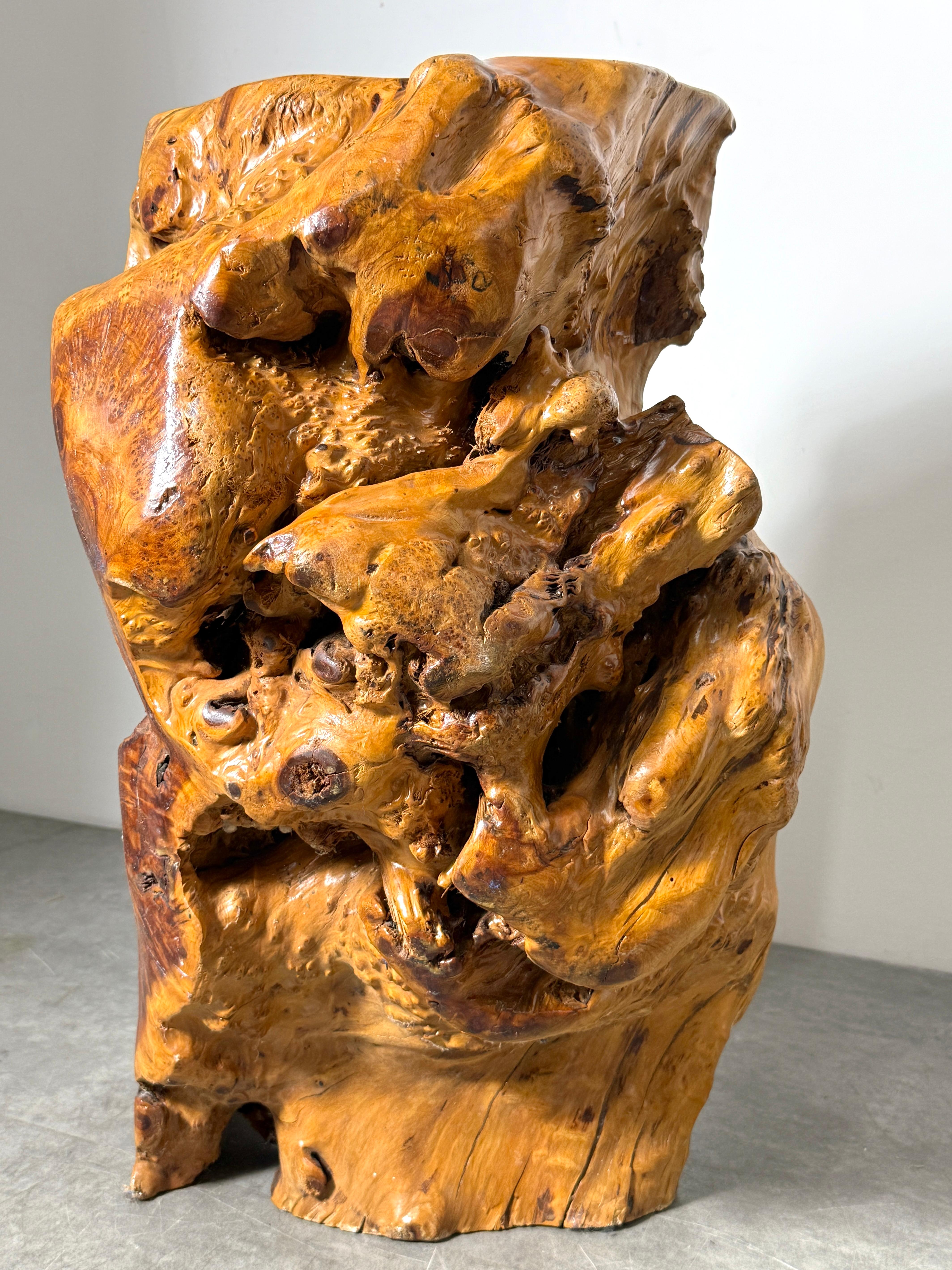 Vintage Elm Wood Burl Root Pedestal Table Stand or Stool Organic Modern 1970's In Good Condition For Sale In Troy, MI