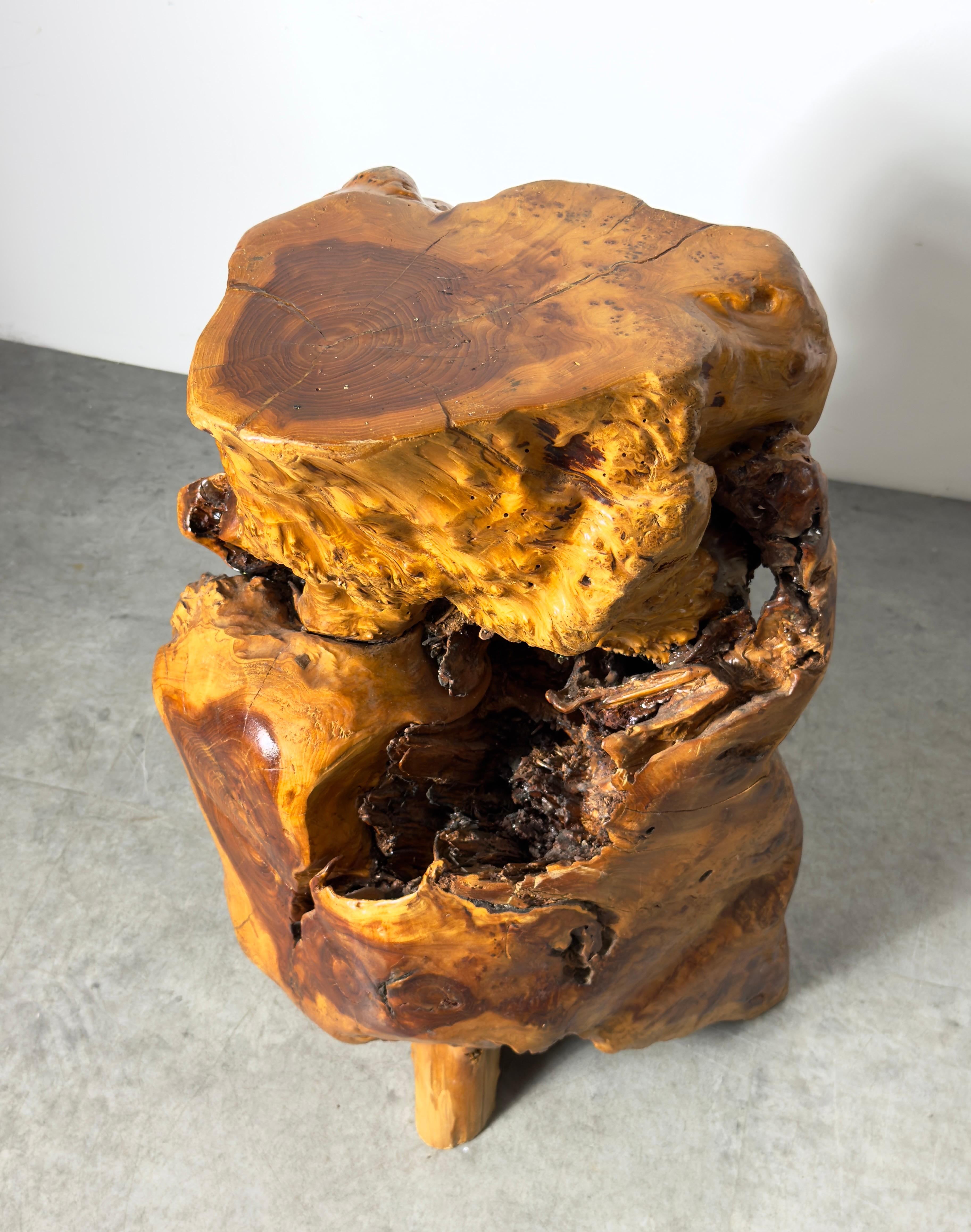 Late 20th Century Vintage Elm Wood Burl Root Pedestal Table Stand or Stool Organic Modern 1970's For Sale