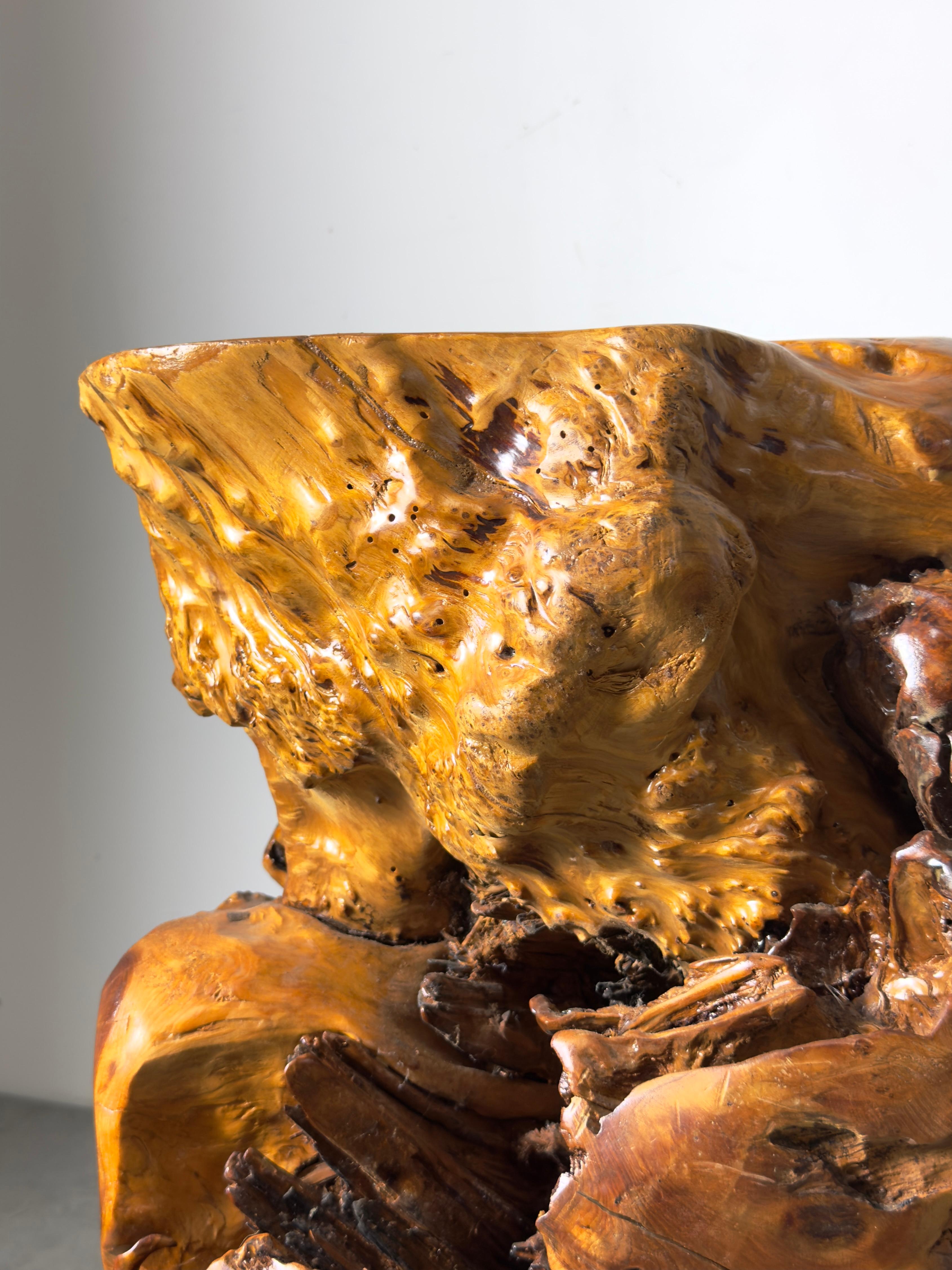 Vintage Elm Wood Burl Root Pedestal Table Stand or Stool Organic Modern 1970's For Sale 3