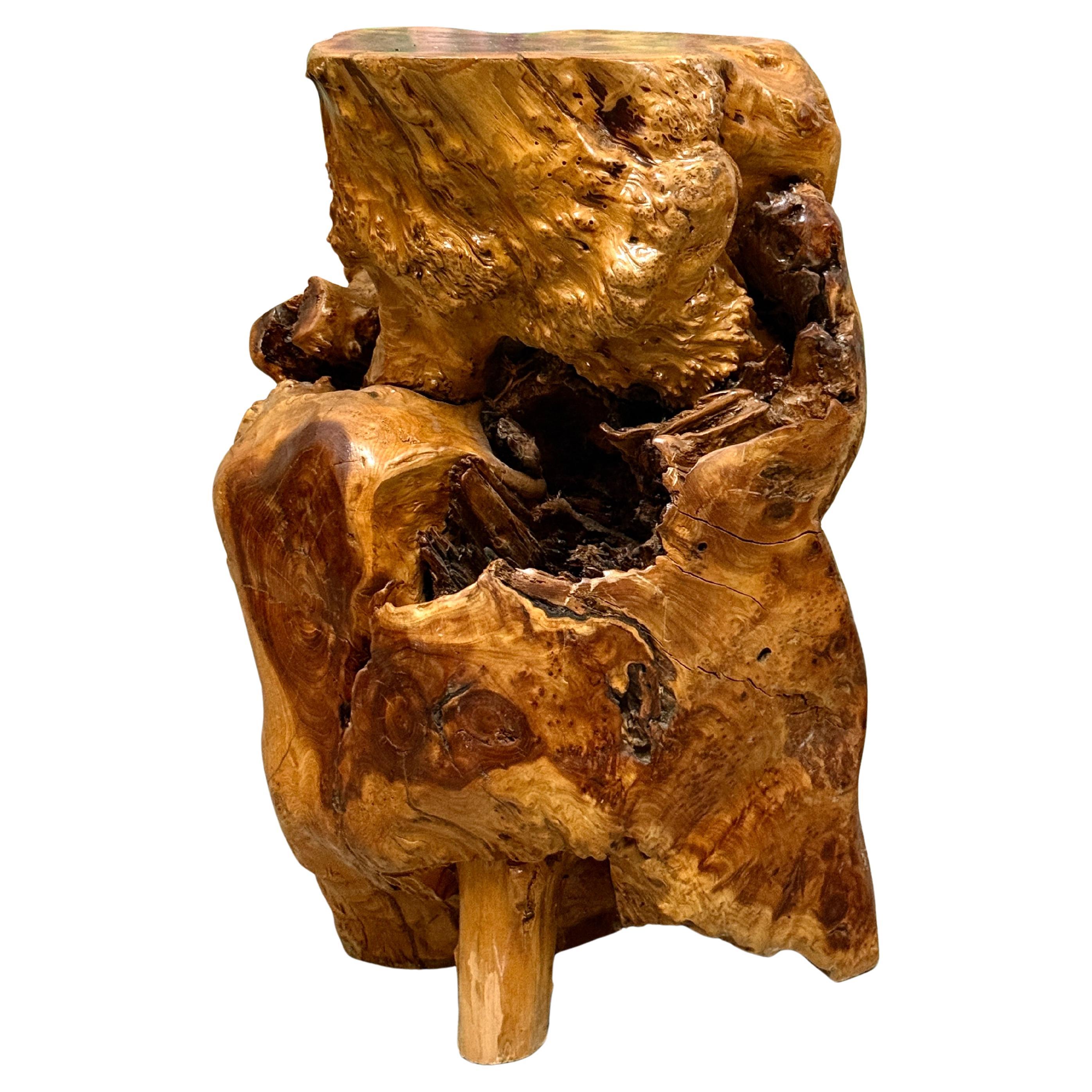 Vintage Elm Wood Burl Root Pedestal Table Stand or Stool Organic Modern 1970's For Sale