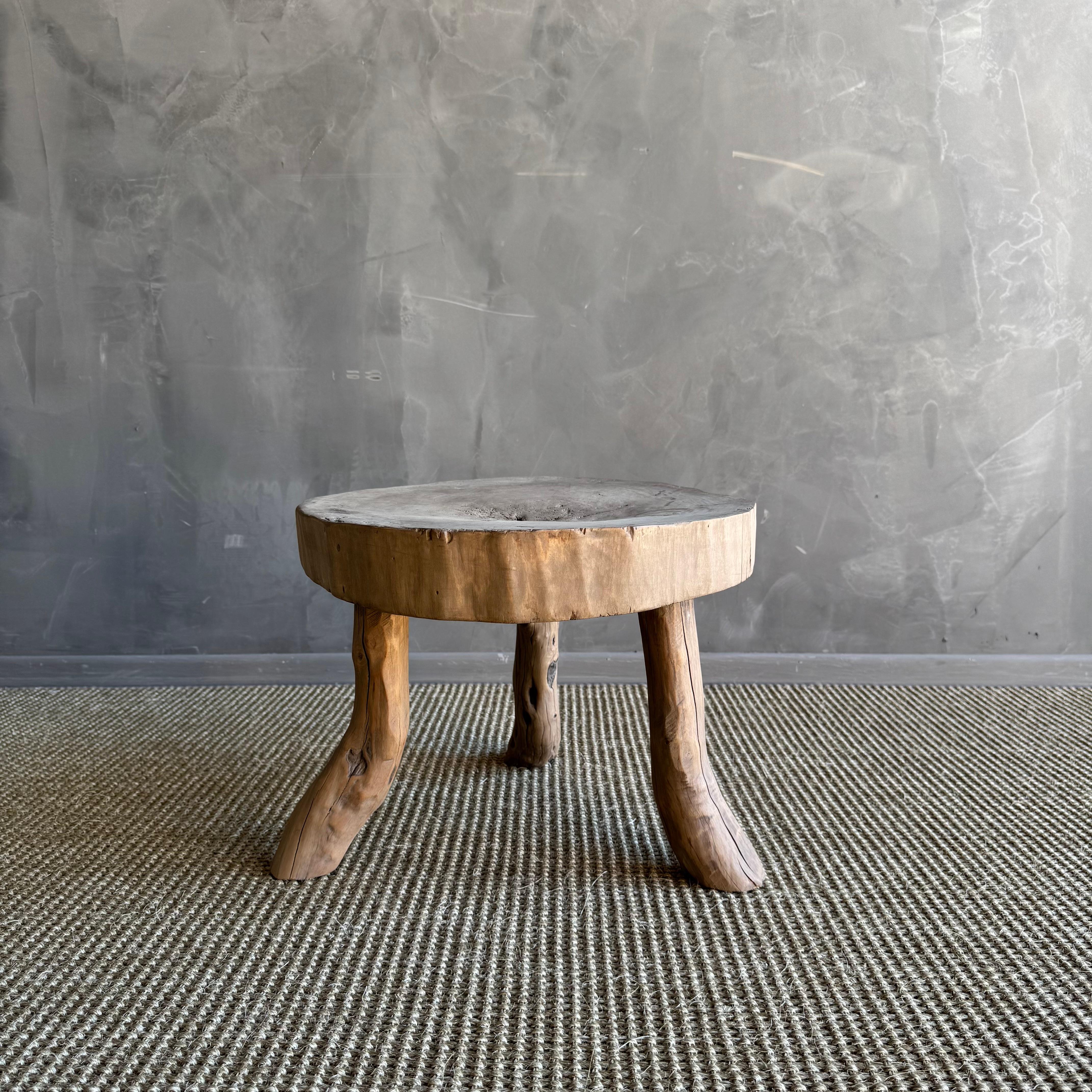 Organic Modern Vintage Elm Wood Slice Accent Table For Sale