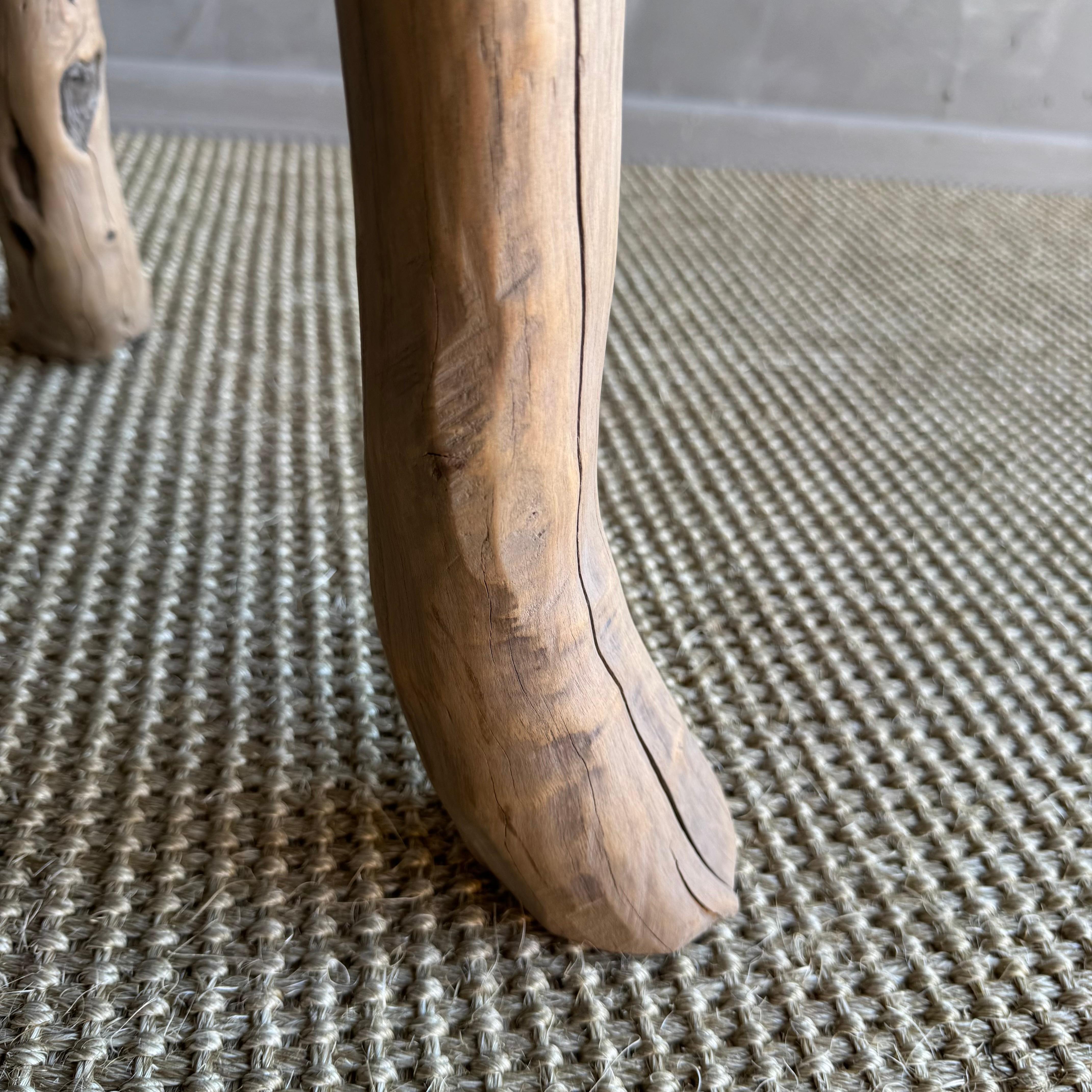 Vintage Elm Wood Slice Accent Table For Sale 1