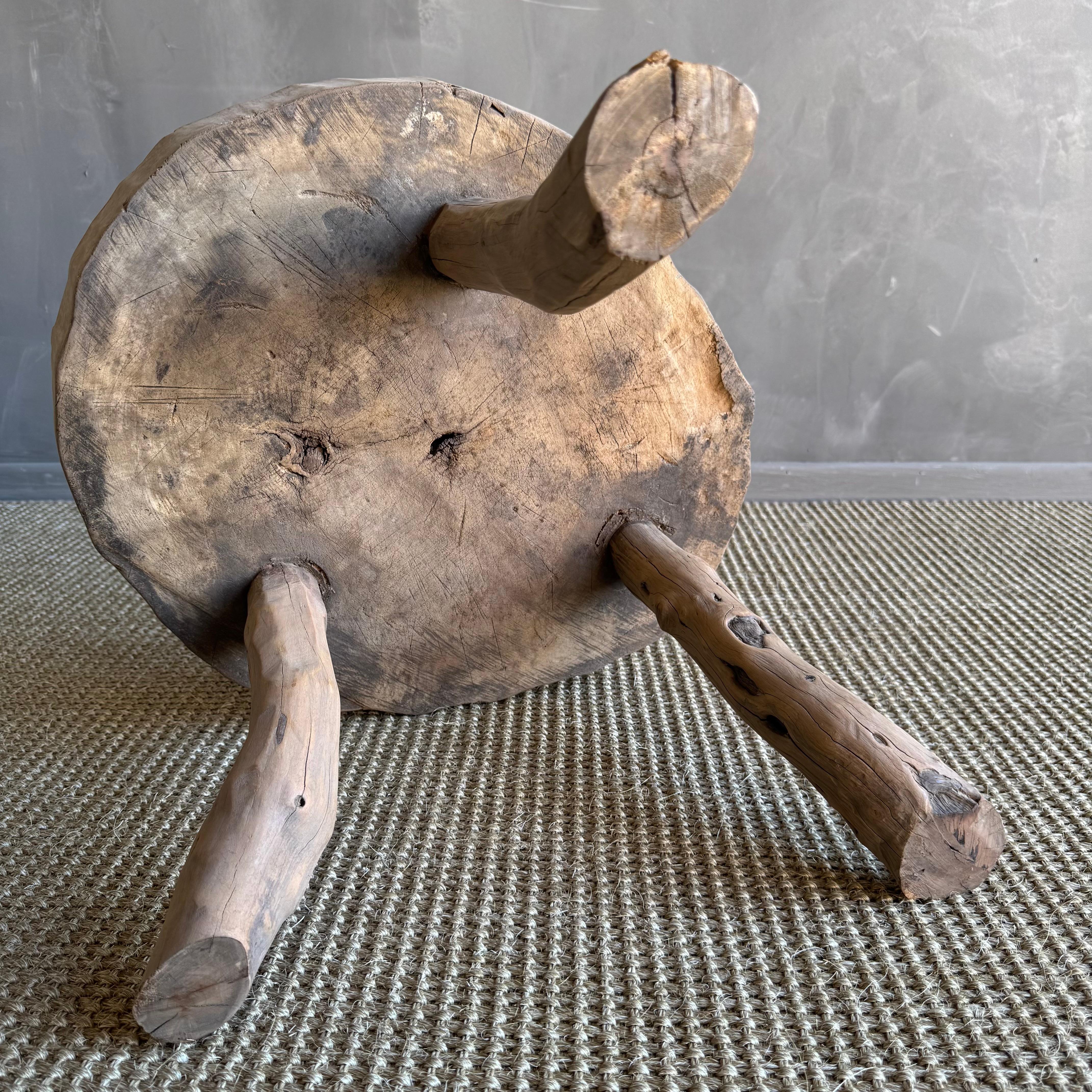 Vintage Elm Wood Slice Accent Table For Sale 2