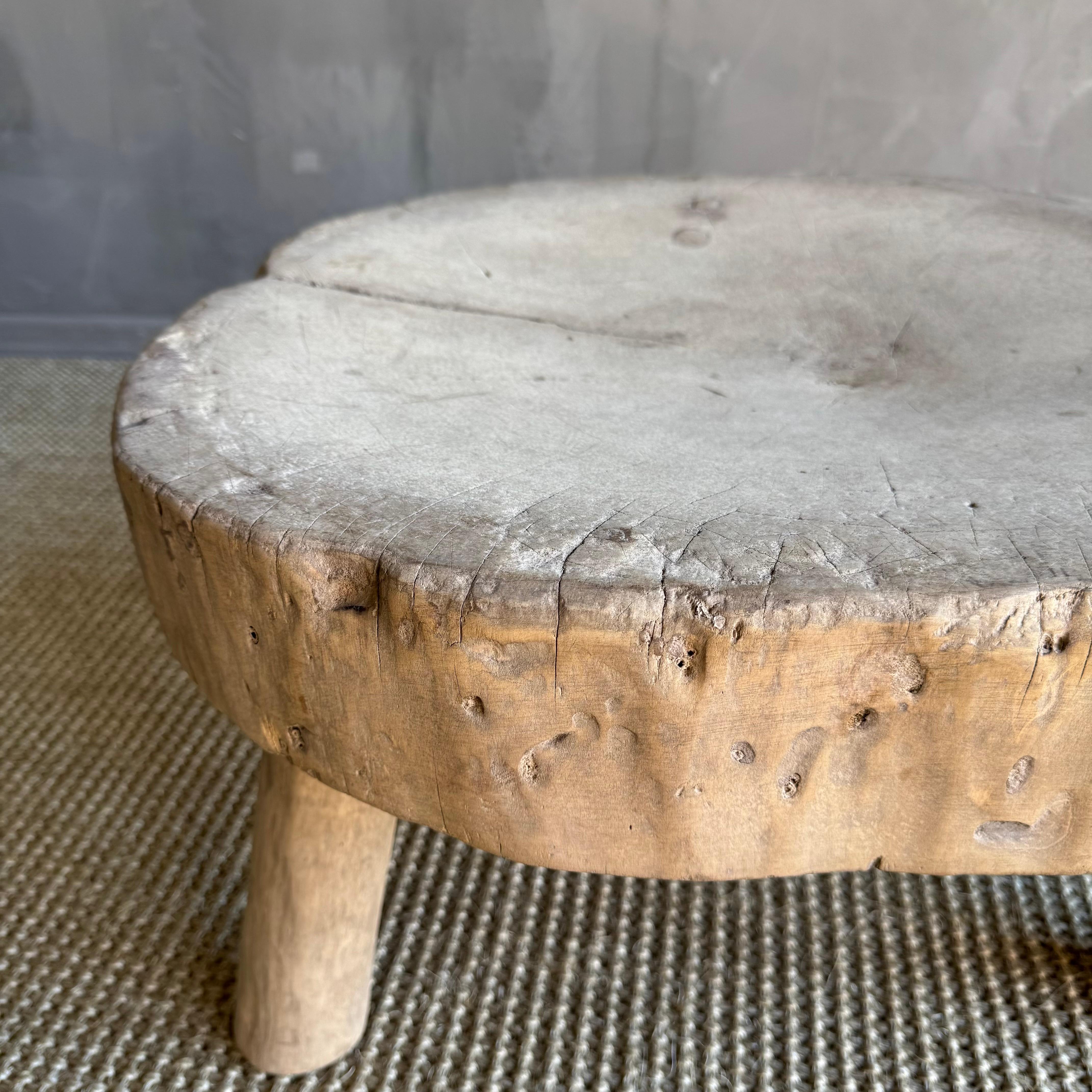 20th Century Vintage Elm Wood Wabi Sabi Slice Stool or Side Table