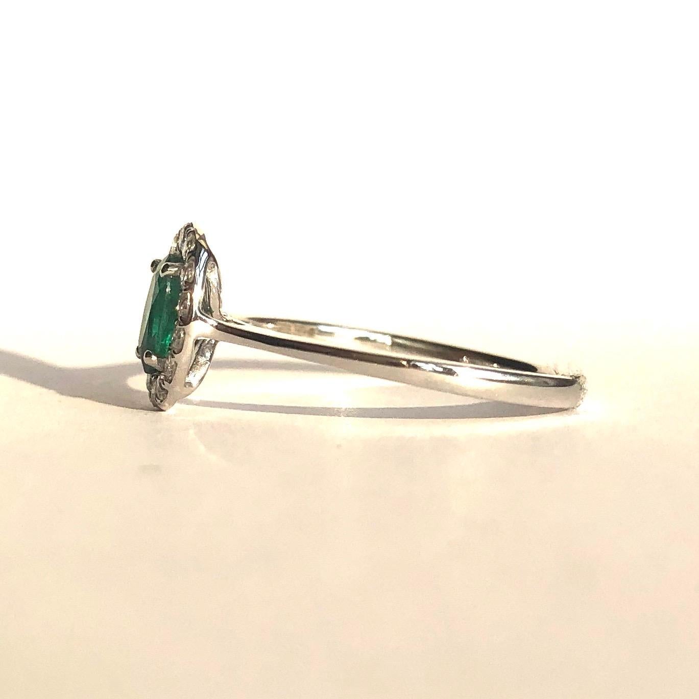 The gorgeous 60pt emerald perched on top of this simple claw setting is fabulous bright green. Complimenting the stone perfectly is a halo of bright white diamonds. The ring is modelled in 18ct white gold. 

Ring Size: L or 5 3/4
Cluster Dimensions: