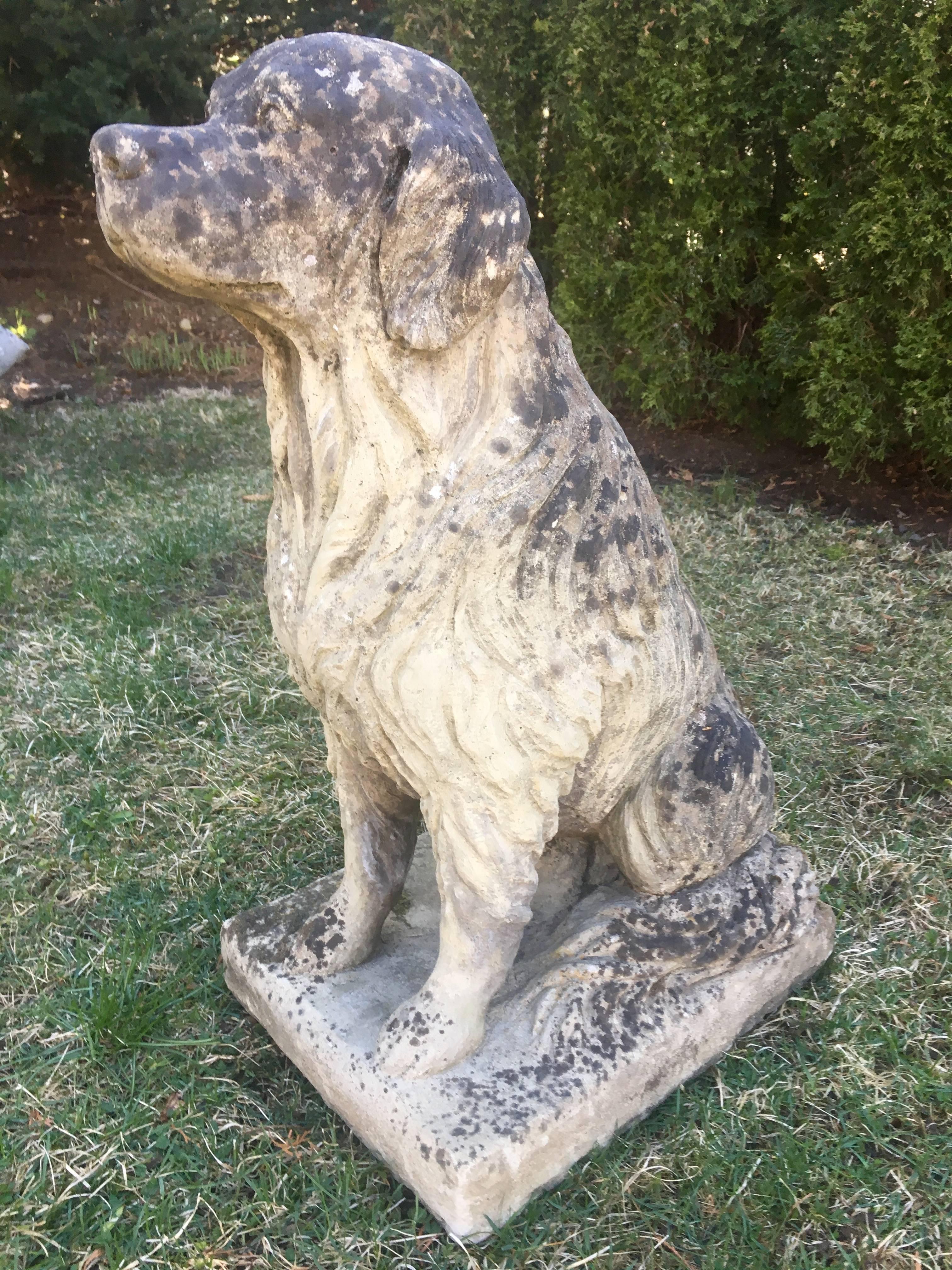 Lifesize English Cast Stone Golden Retriever Statue 5