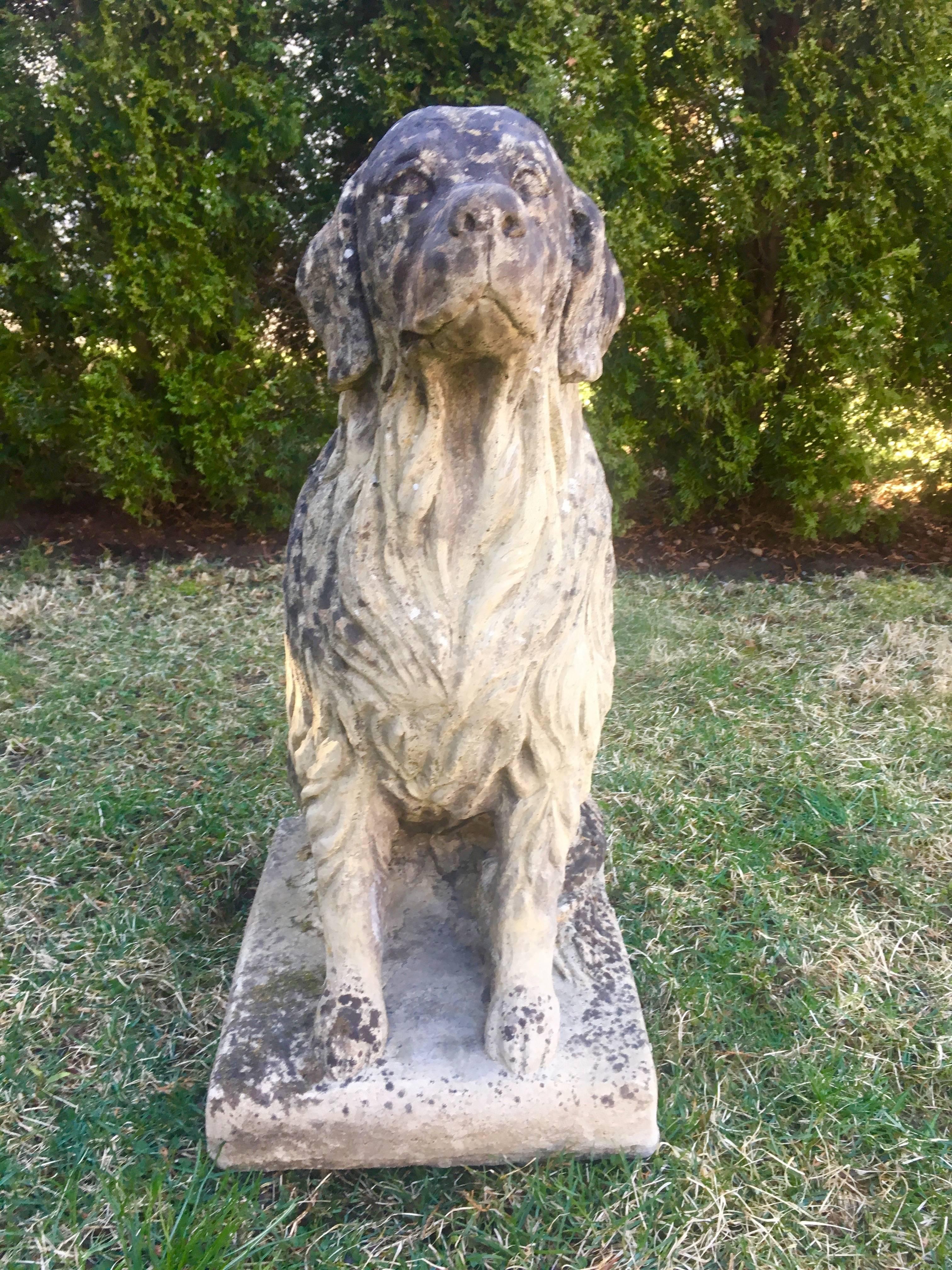 We found this exquisitely-detailed life-sized golden retriever statue in England and it is a beauty! Gender-neutral (see last photo), it has exceptional cast detail and a lovely naturally-patinated surface with age-appropriate weathering, lichen and