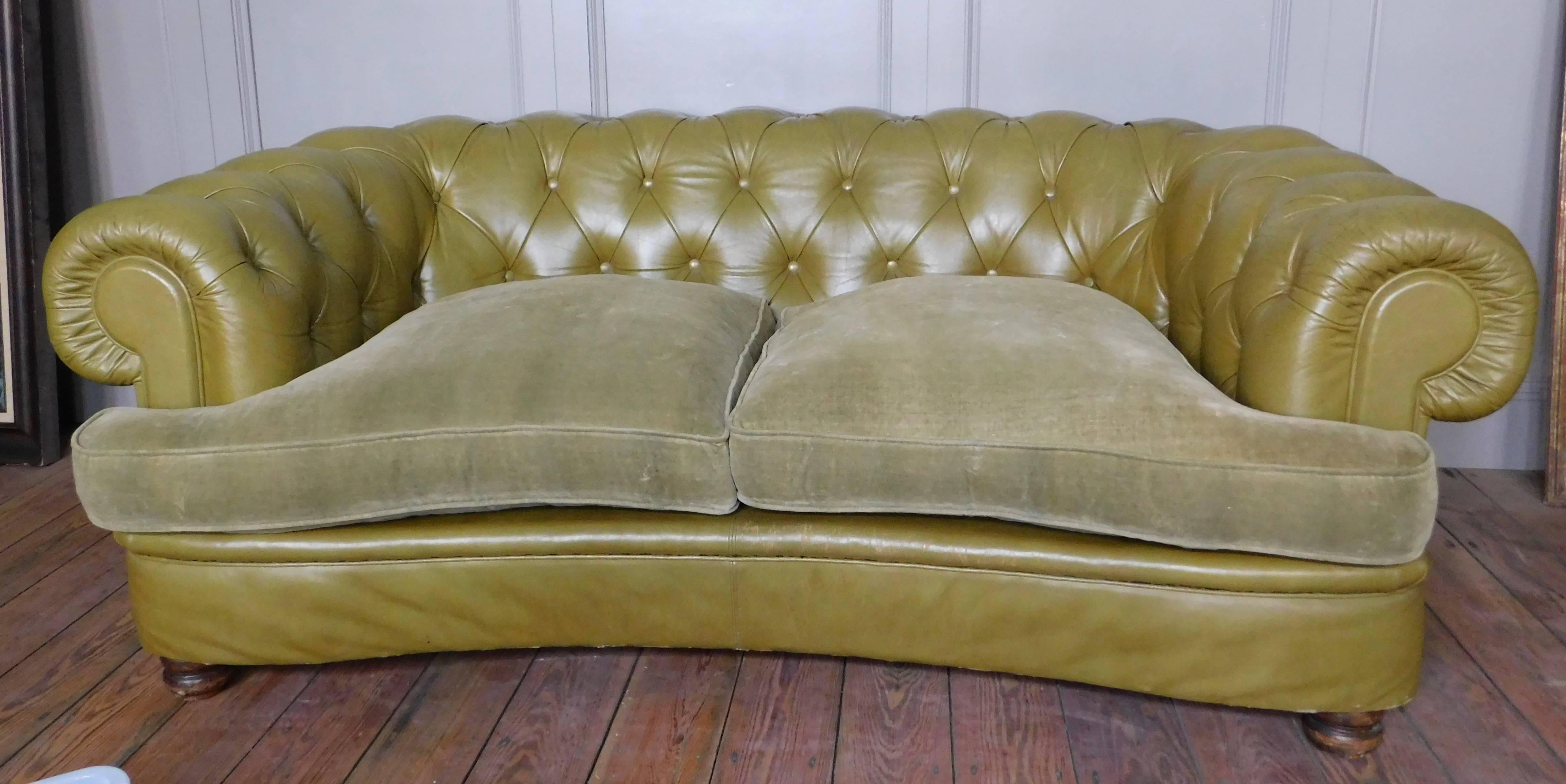 English leather Chesterfield settee with feather filled velvet cushions, circa 1950. The settee is curved in the front to form a kidney bean type shape which makes the form more interesting and visually appealing than the average Chesterfield